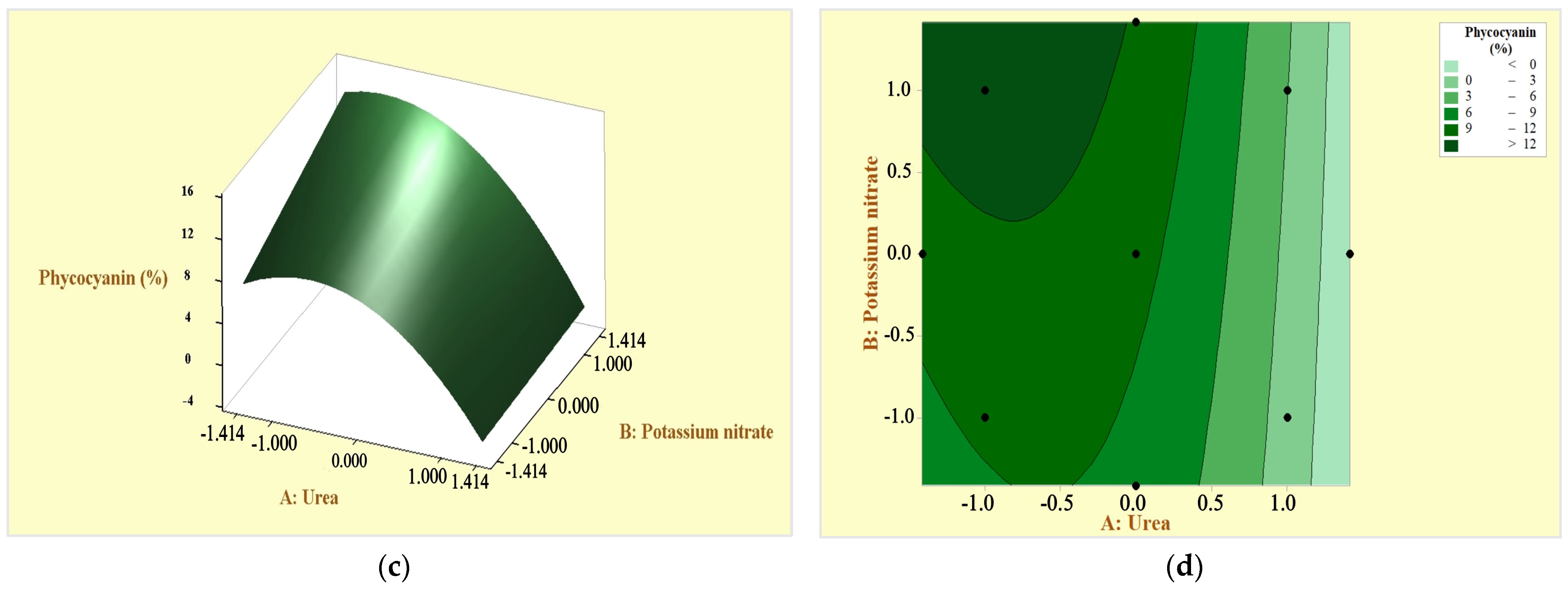 Microorganisms 12 00363 g005b