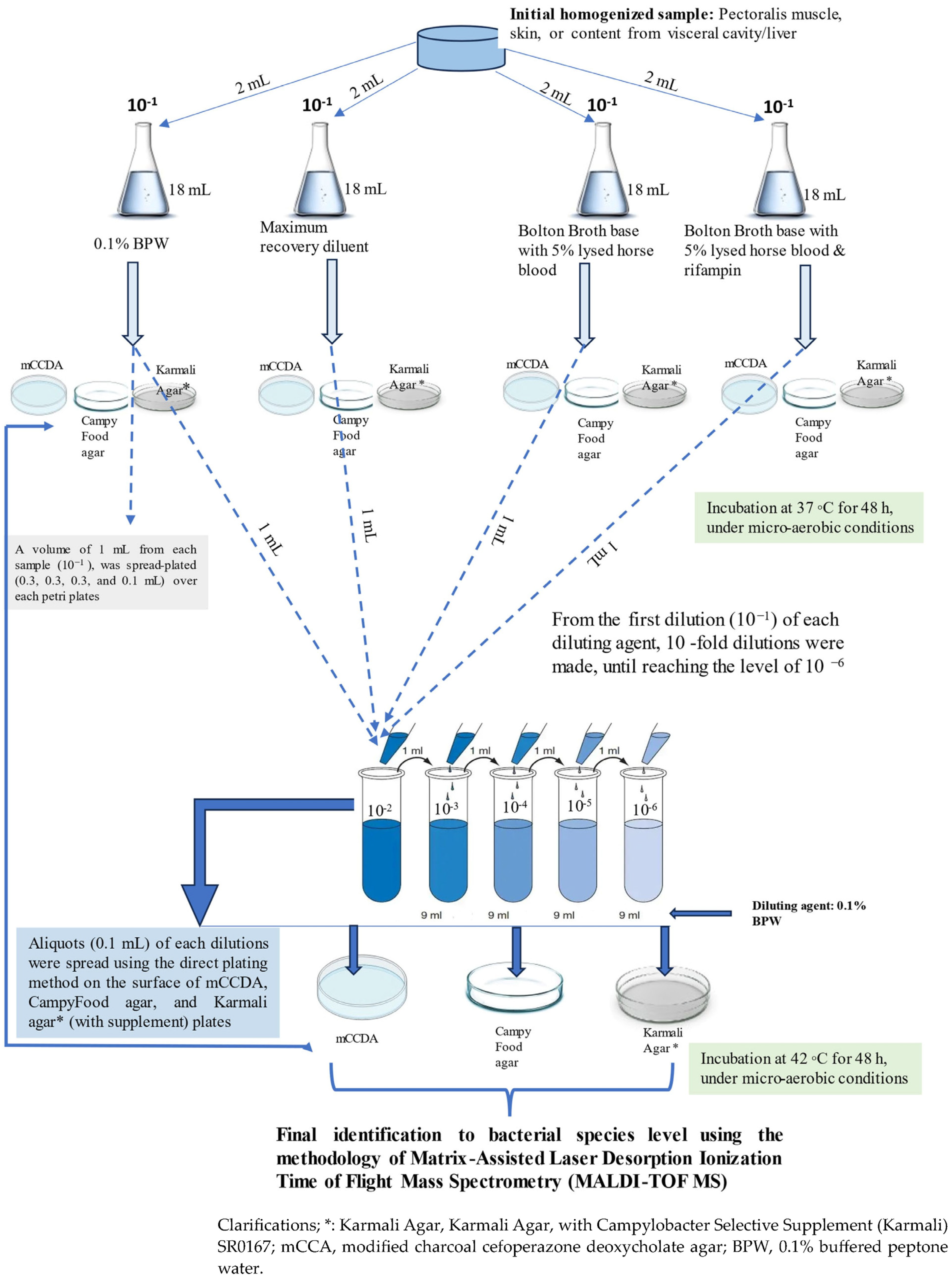 Microorganisms 12 00368 g001