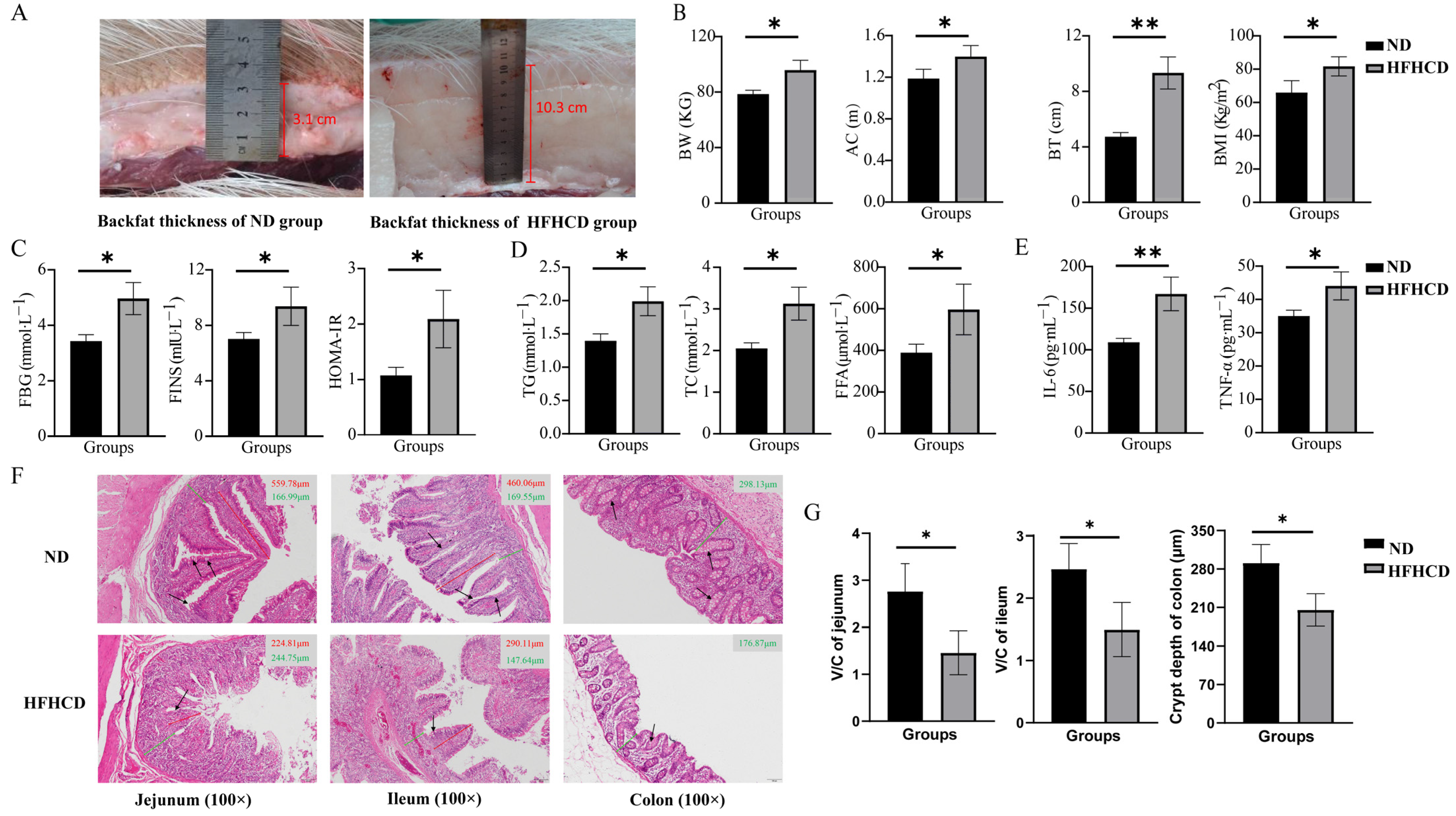 Microorganisms 12 00369 g001