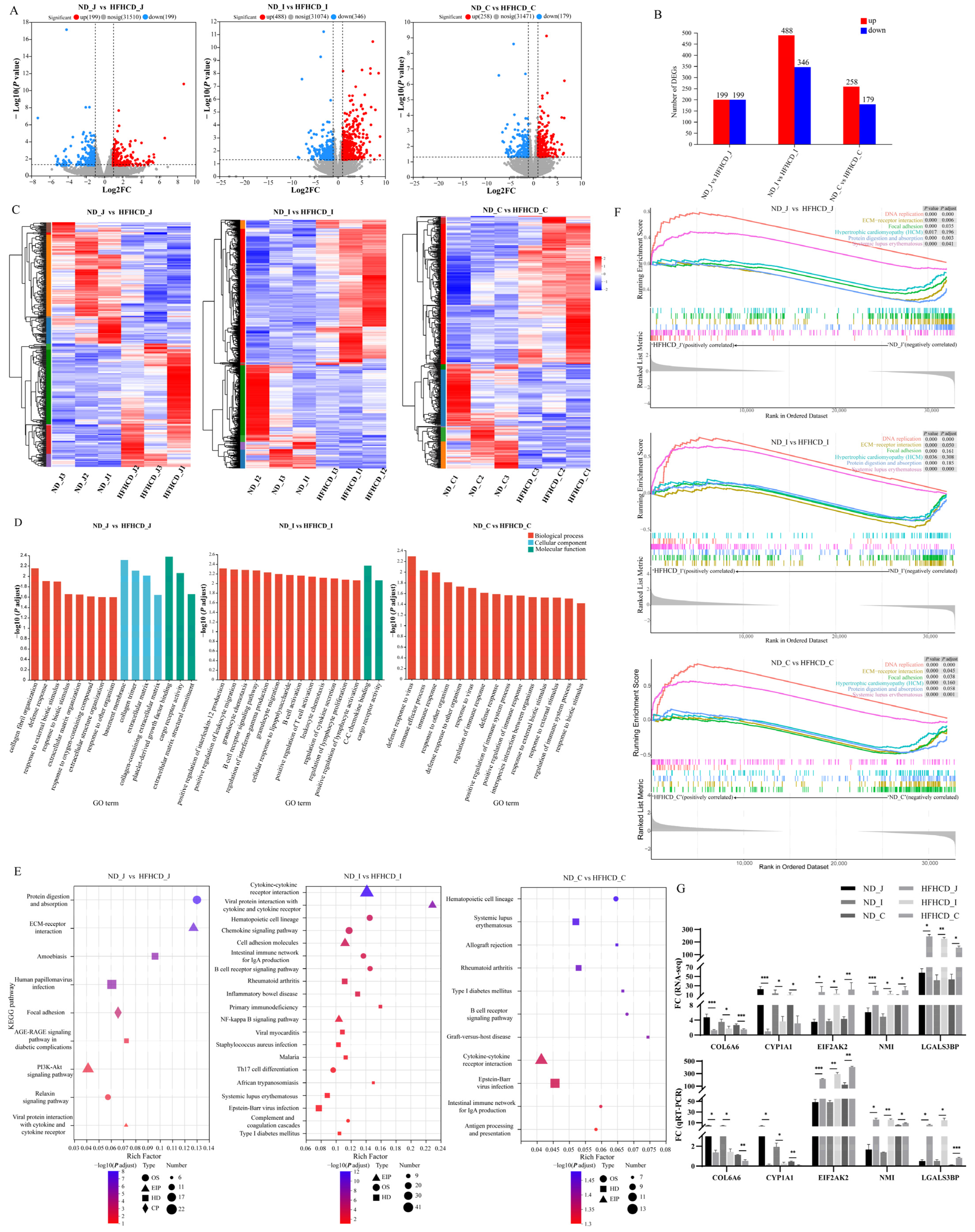 Microorganisms 12 00369 g002