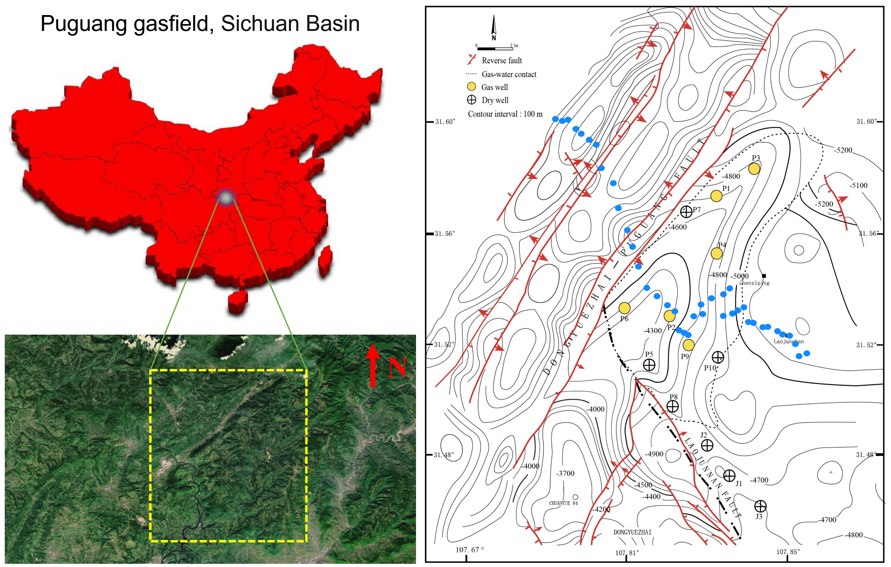 Microorganisms 12 00372 g001