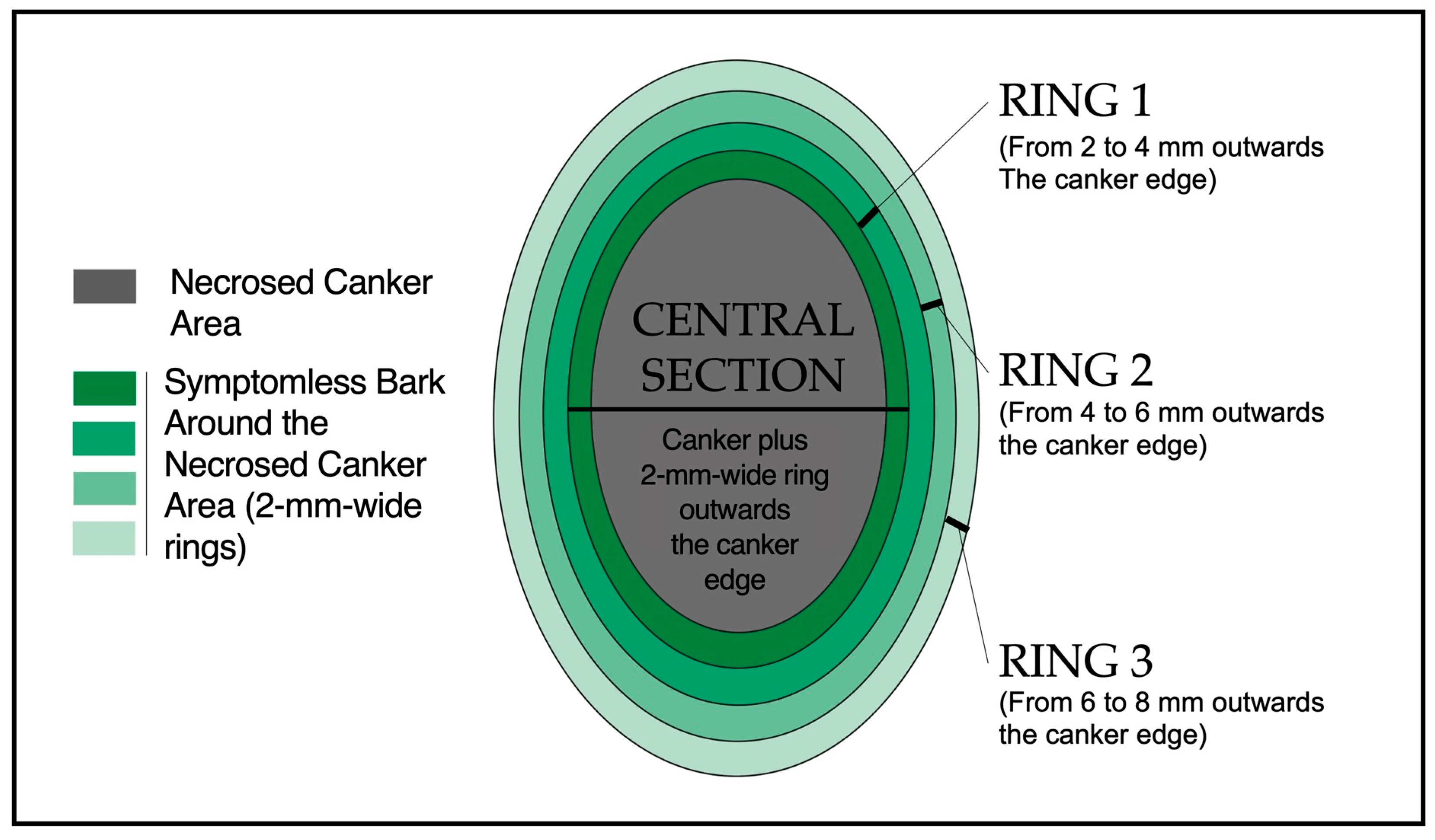Microorganisms 12 00376 g001