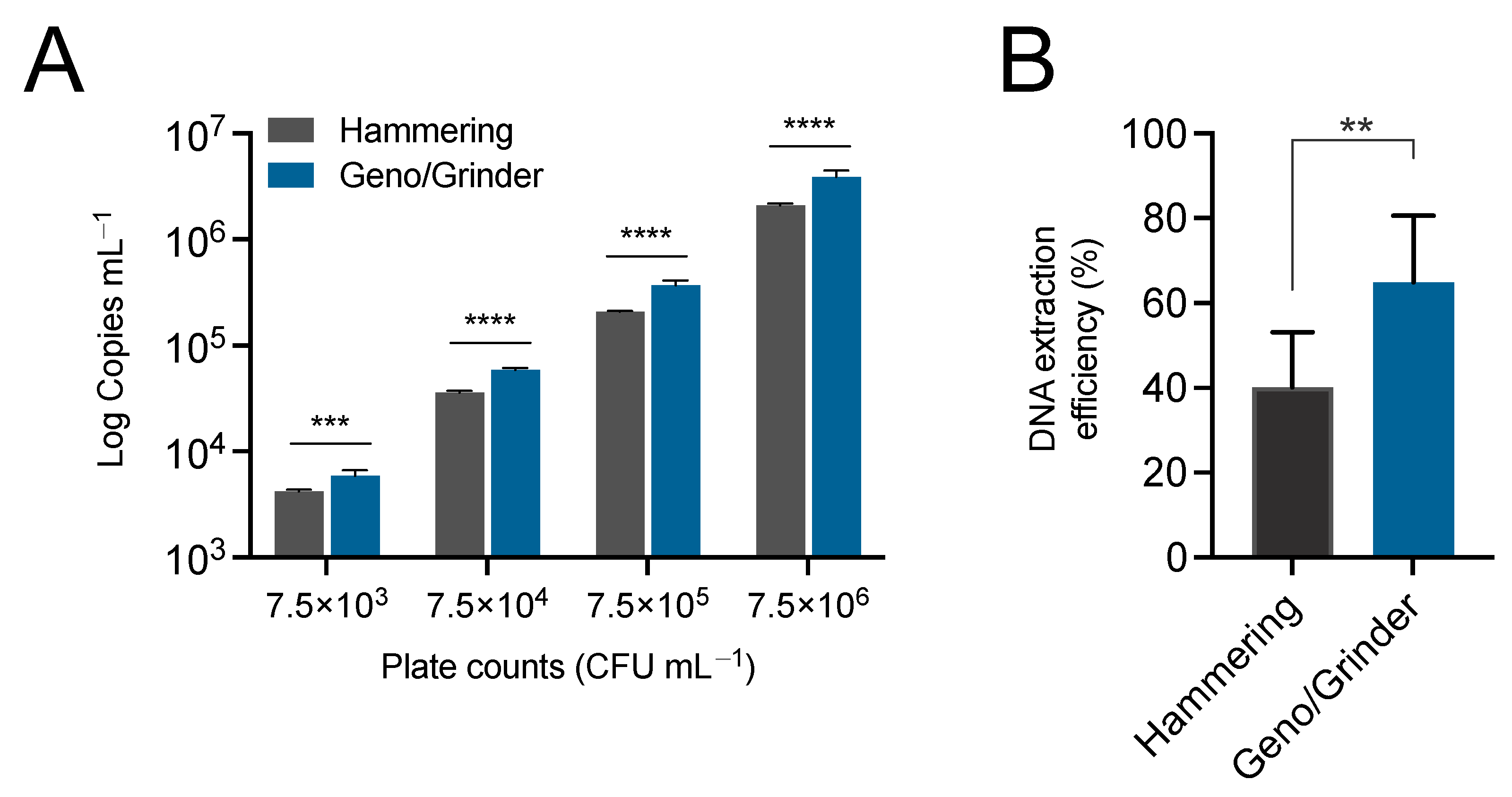 Microorganisms 12 00376 g002