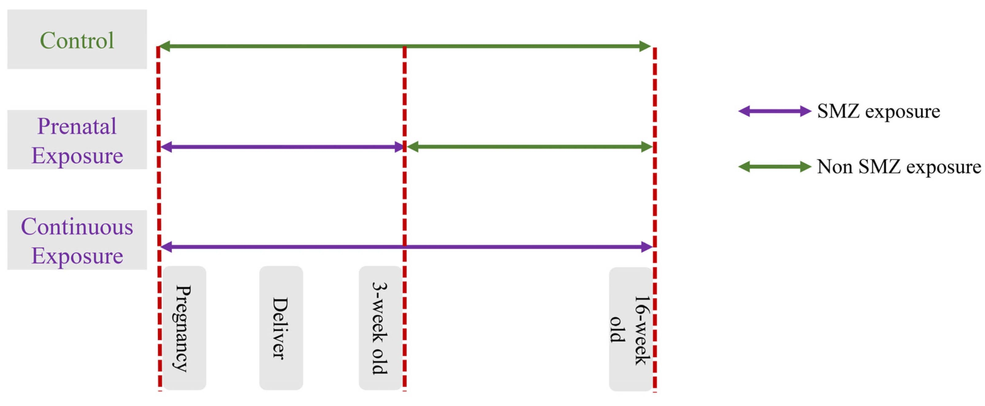 Microorganisms 12 00381 g001
