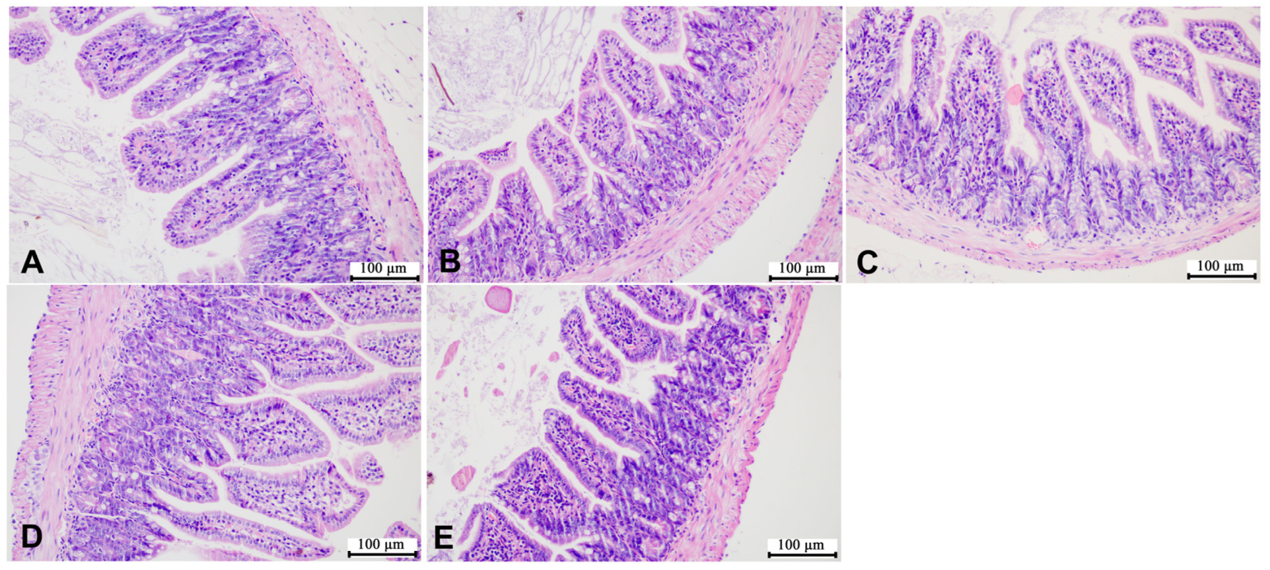 Microorganisms 12 00381 g007