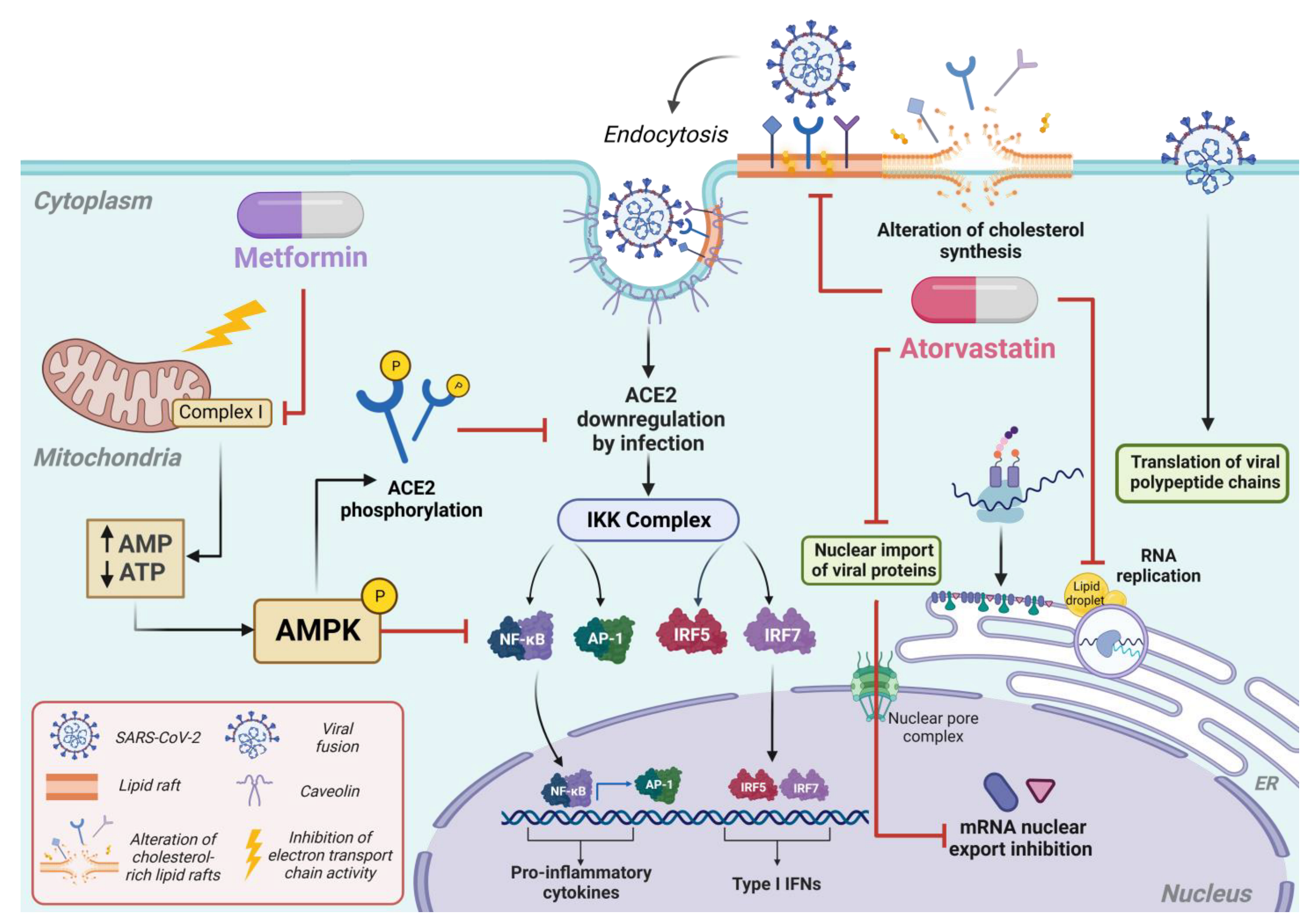 Microorganisms 12 00383 g001 Microorganisms 12 00383 g001