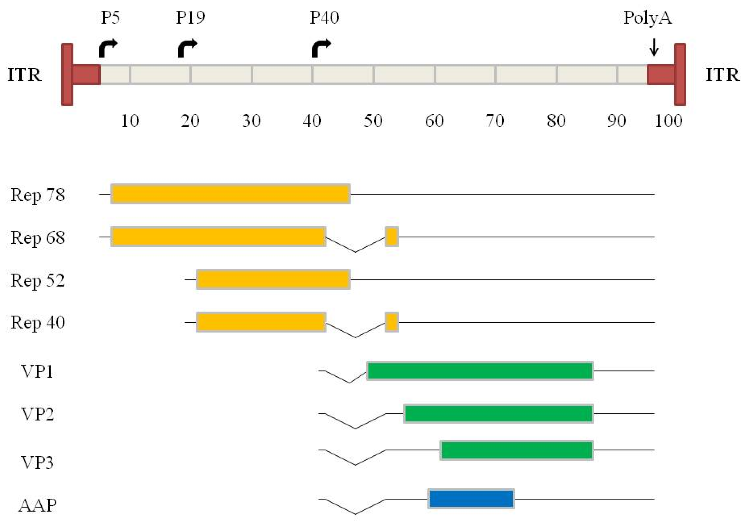 Microorganisms 12 00384 g001 Microorganisms 12 00384 g001