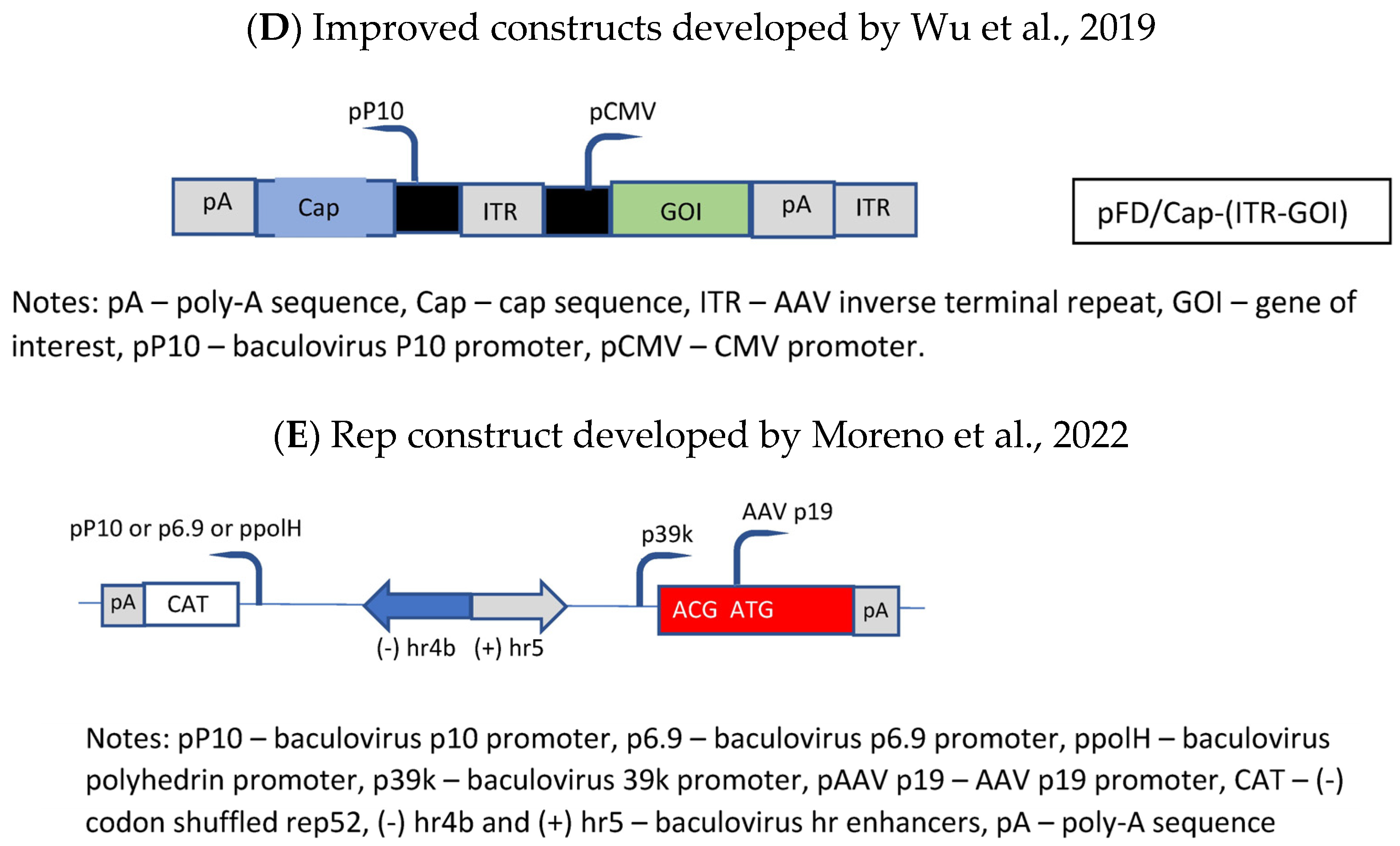 Microorganisms 12 00384 g005b Microorganisms 12 00384 g005b