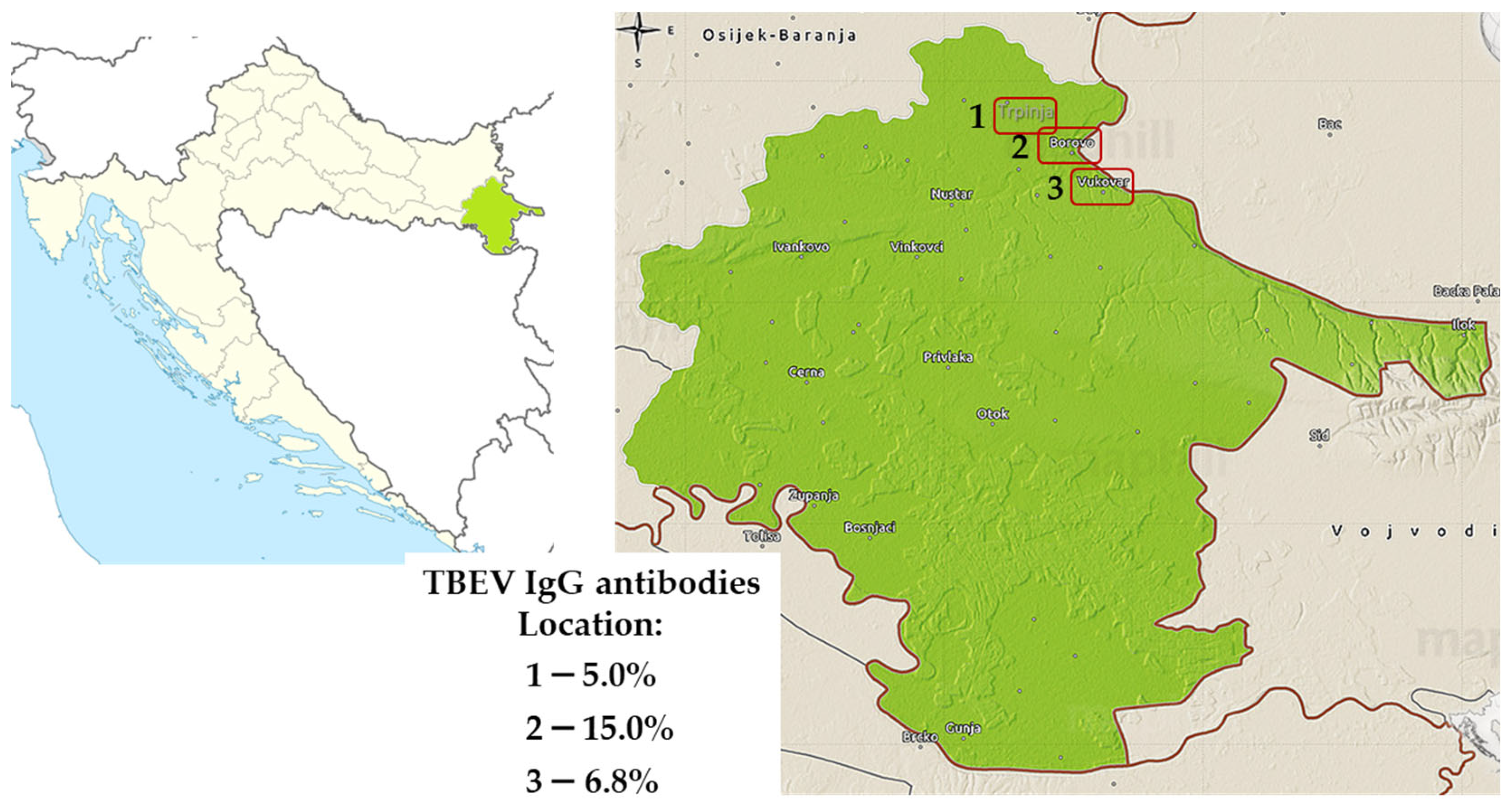 Microorganisms 12 00386 g010