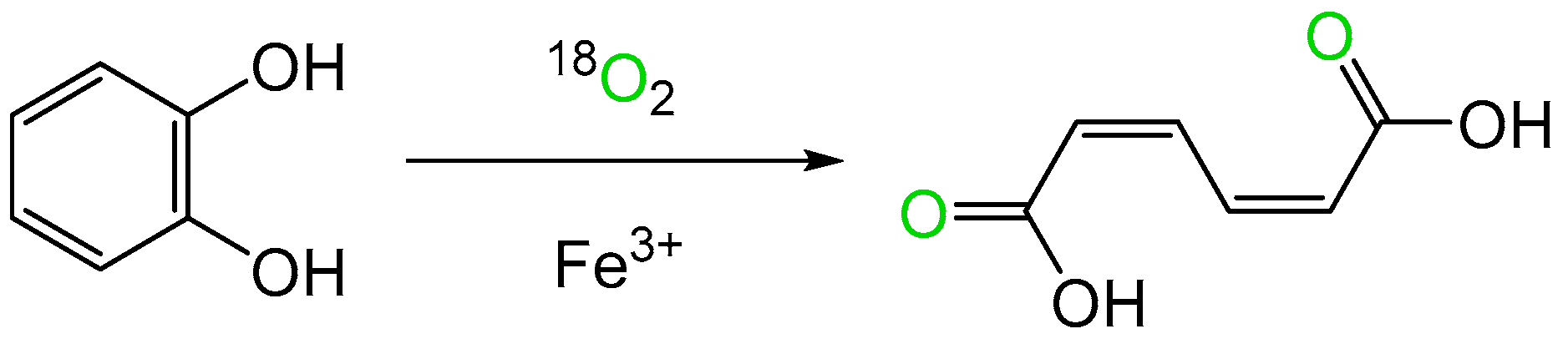Microorganisms 12 00389 g001 Microorganisms 12 00389 g001