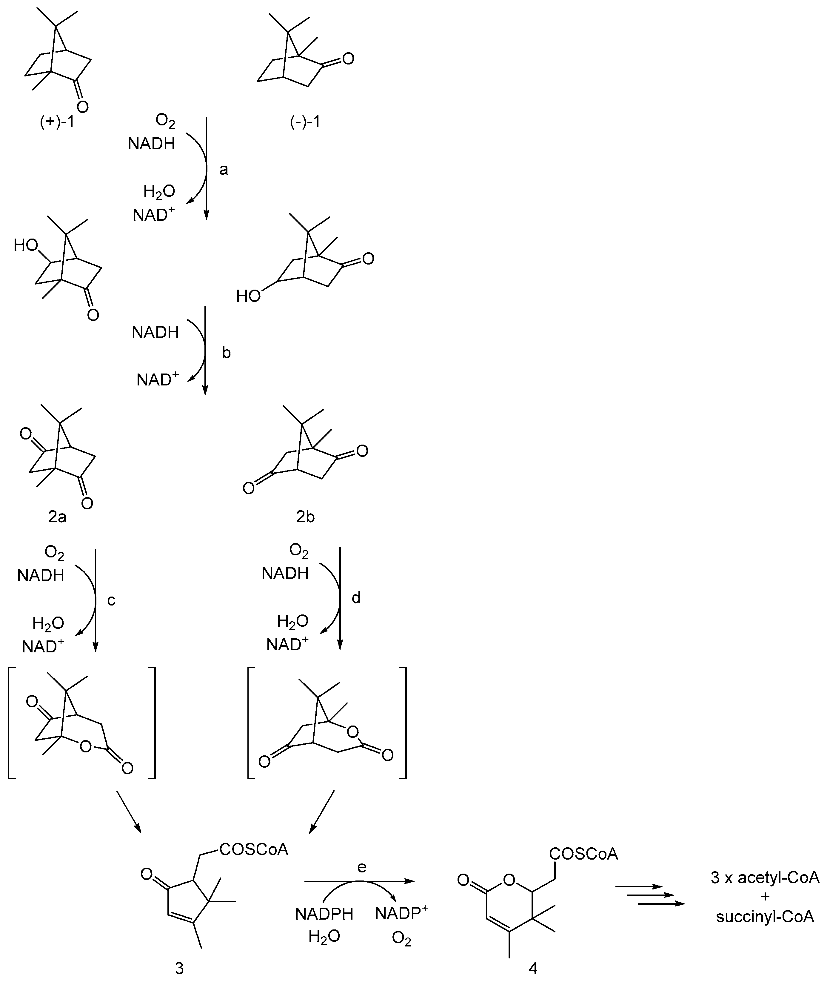 Microorganisms 12 00389 g002 Microorganisms 12 00389 g002