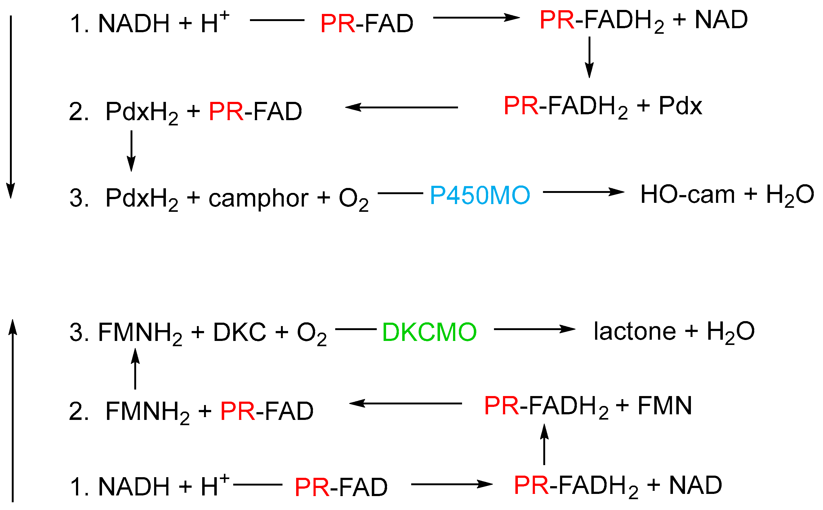 Microorganisms 12 00389 g007 Microorganisms 12 00389 g007