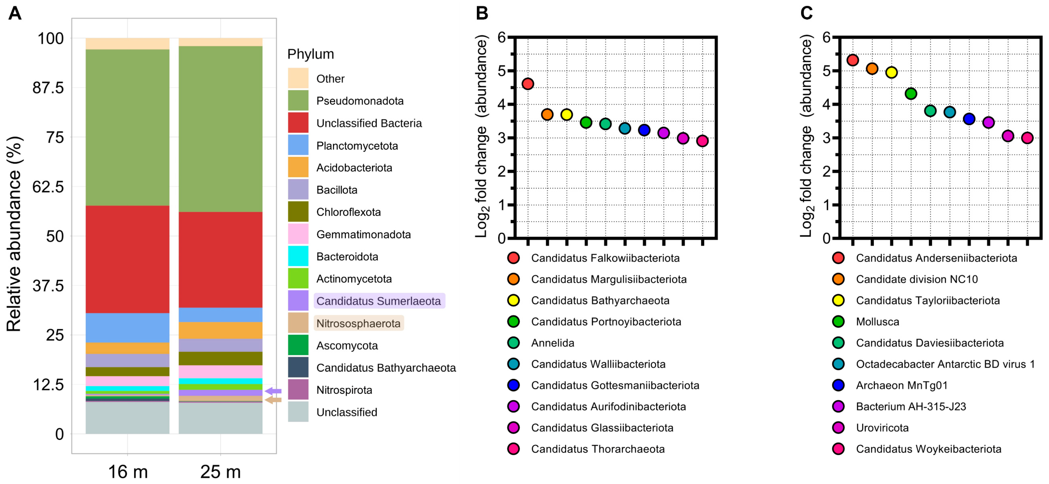 Microorganisms 12 00390 g001