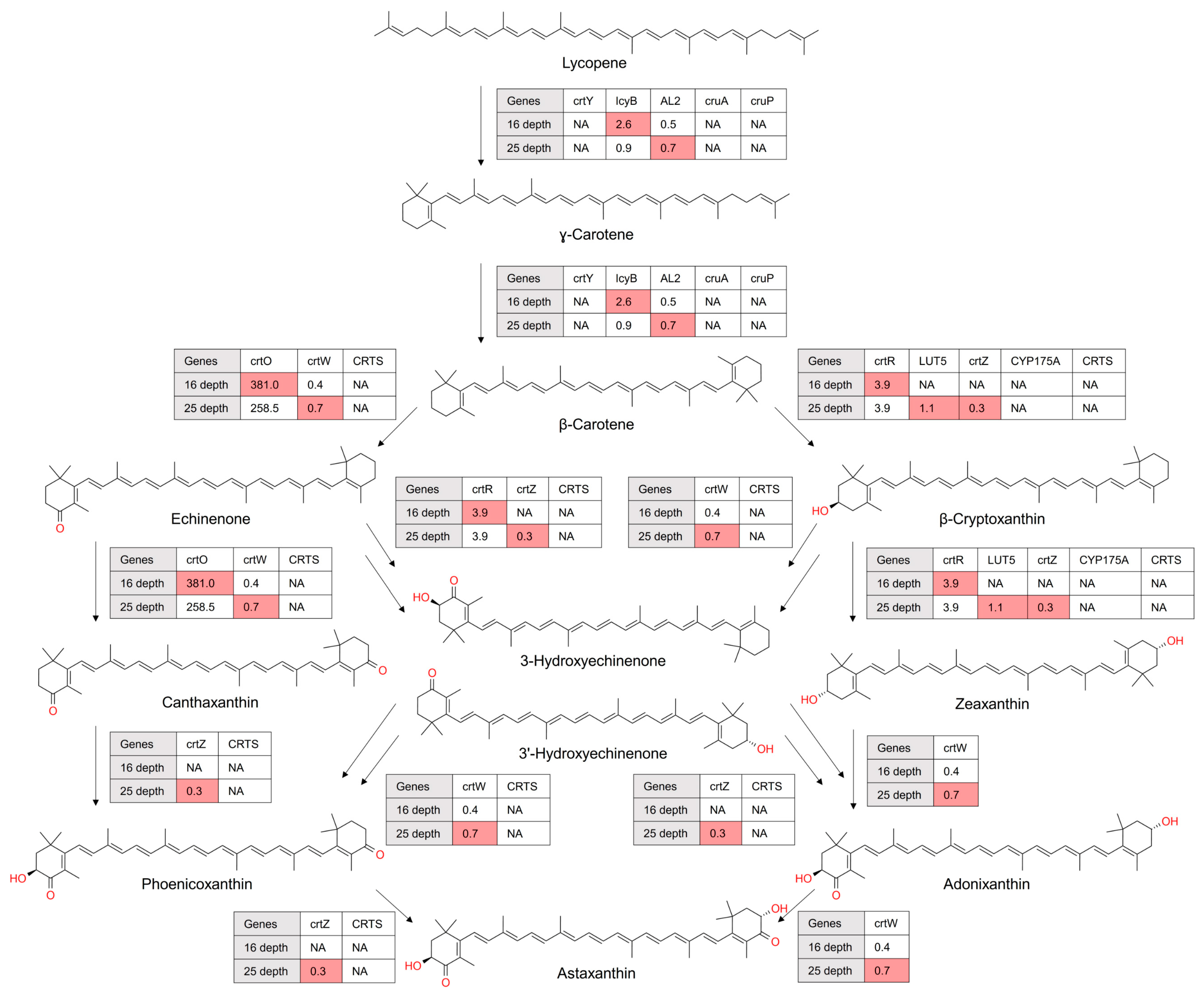 Microorganisms 12 00390 g004