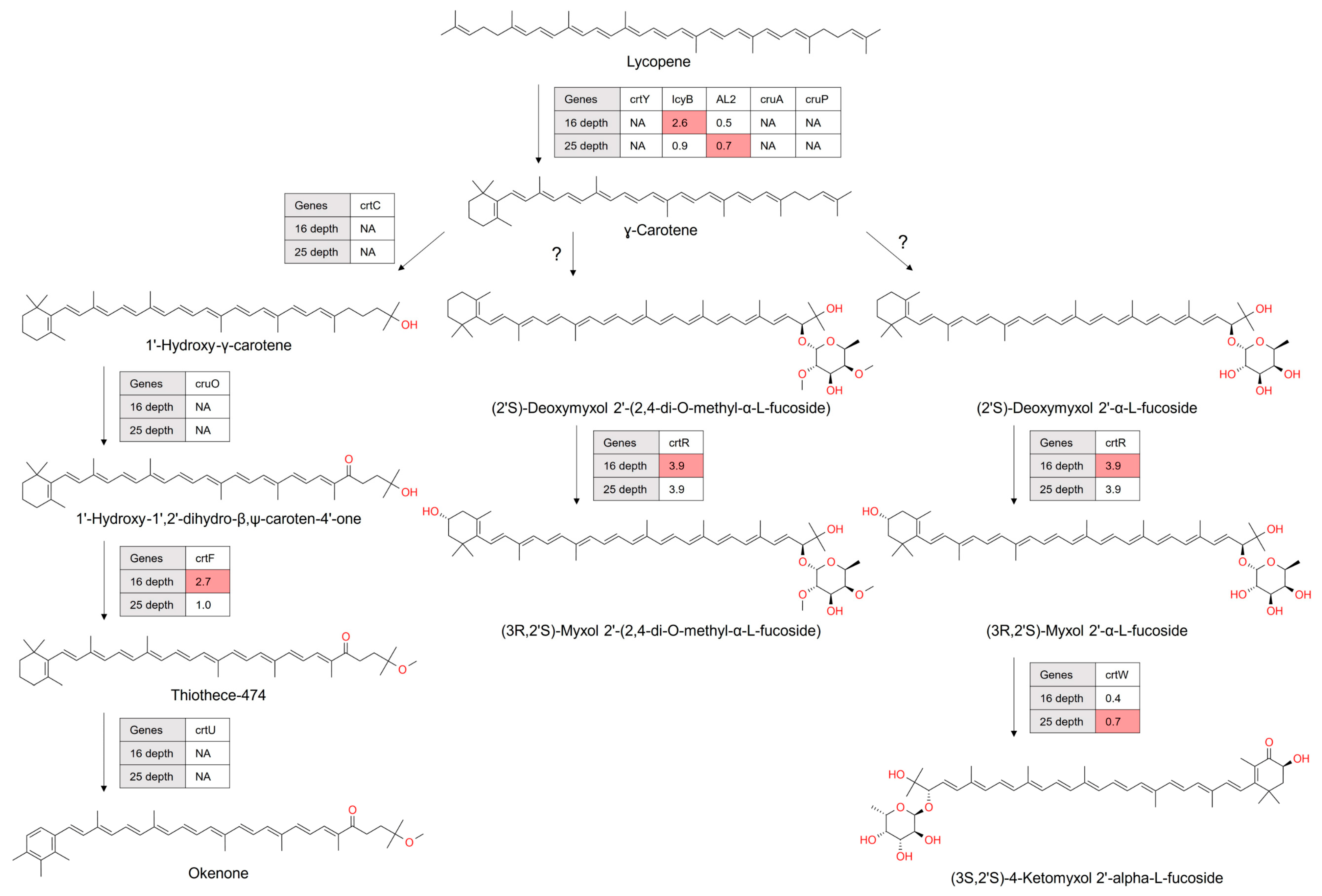 Microorganisms 12 00390 g005