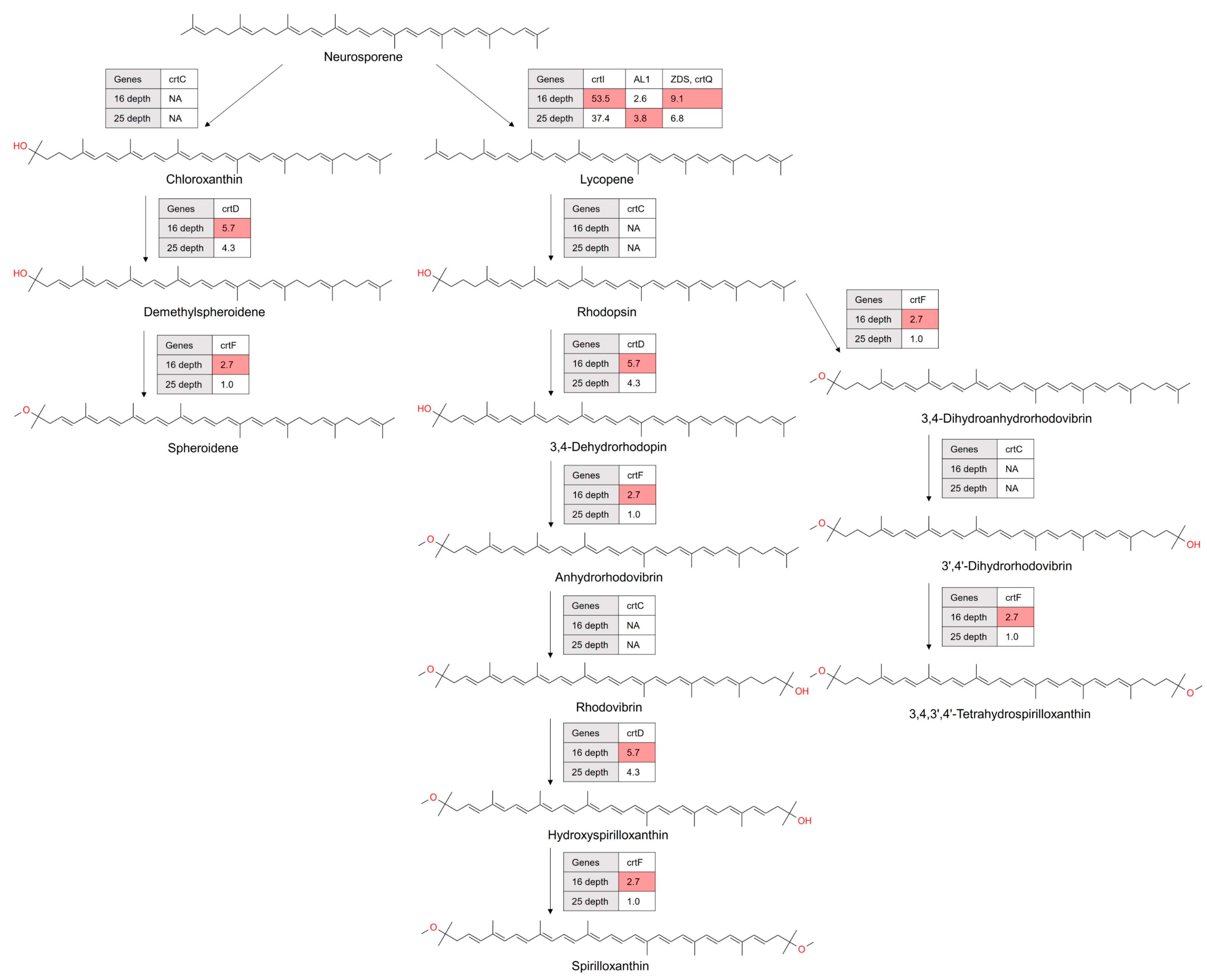 Microorganisms 12 00390 g006