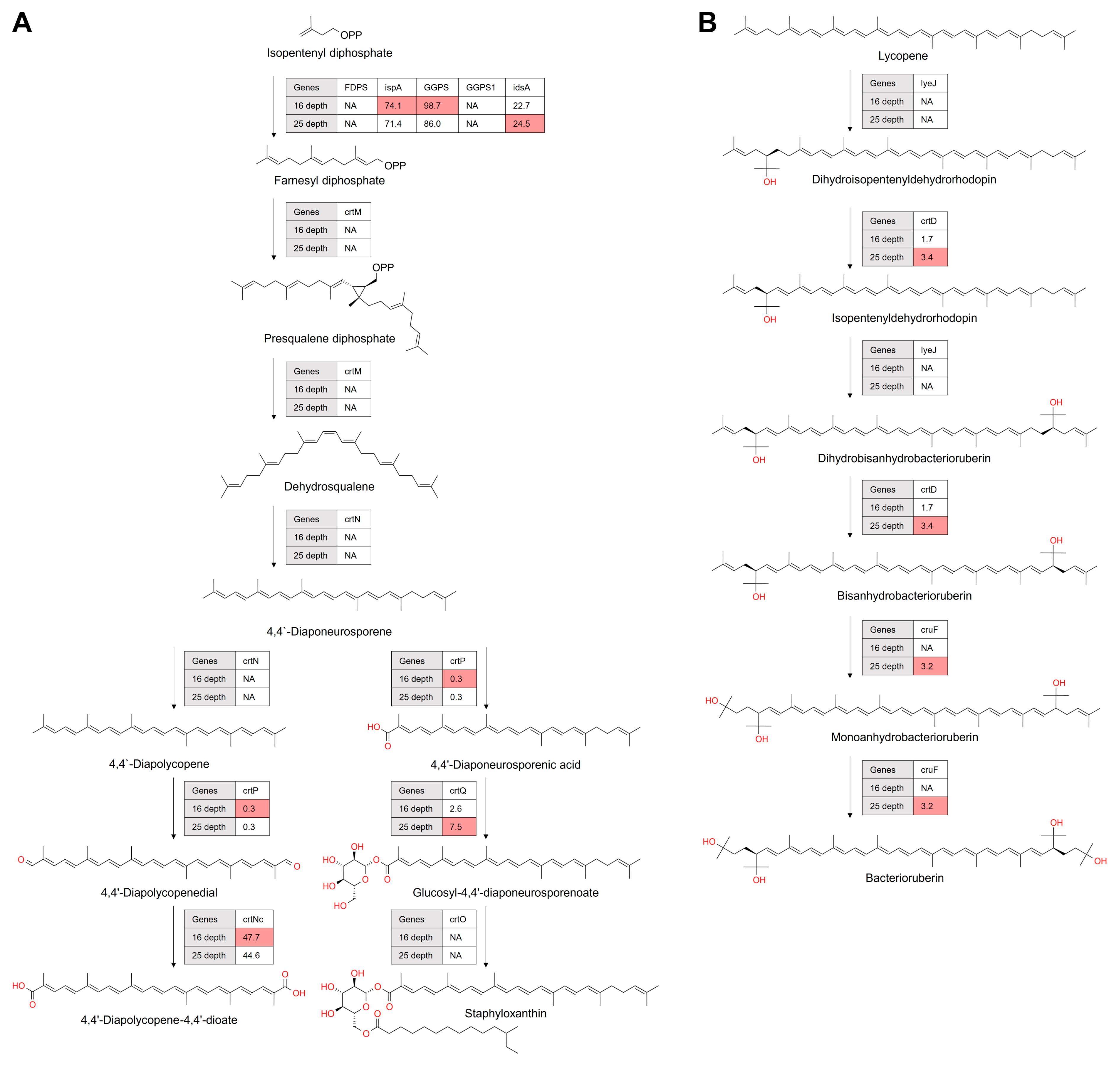 Microorganisms 12 00390 g007