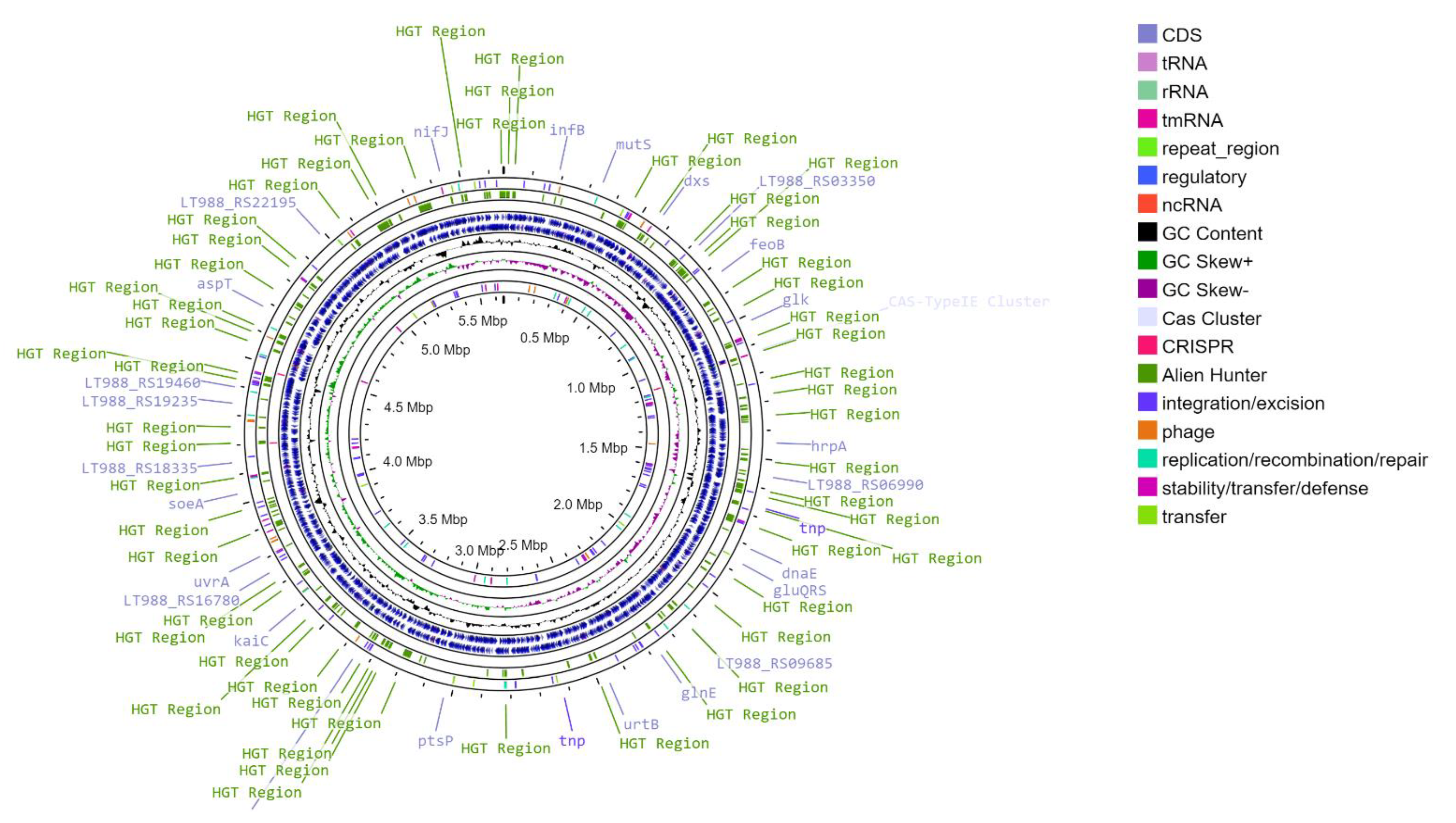 Microorganisms 12 00391 g001