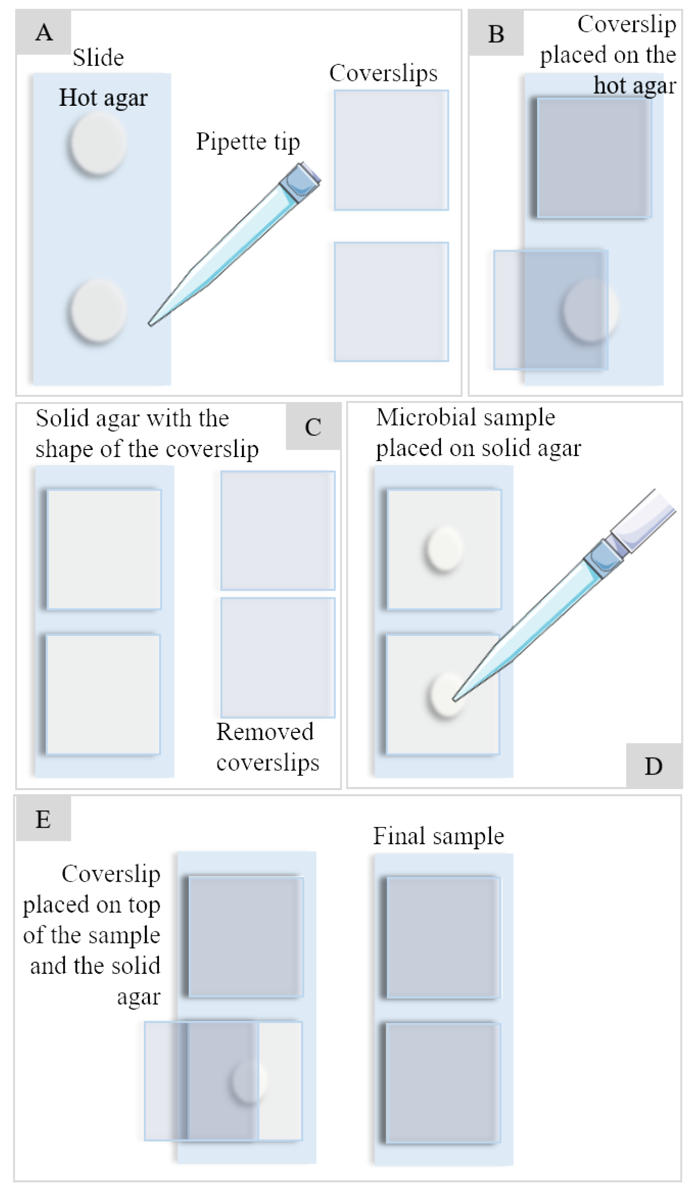 Microorganisms 12 00393 g002