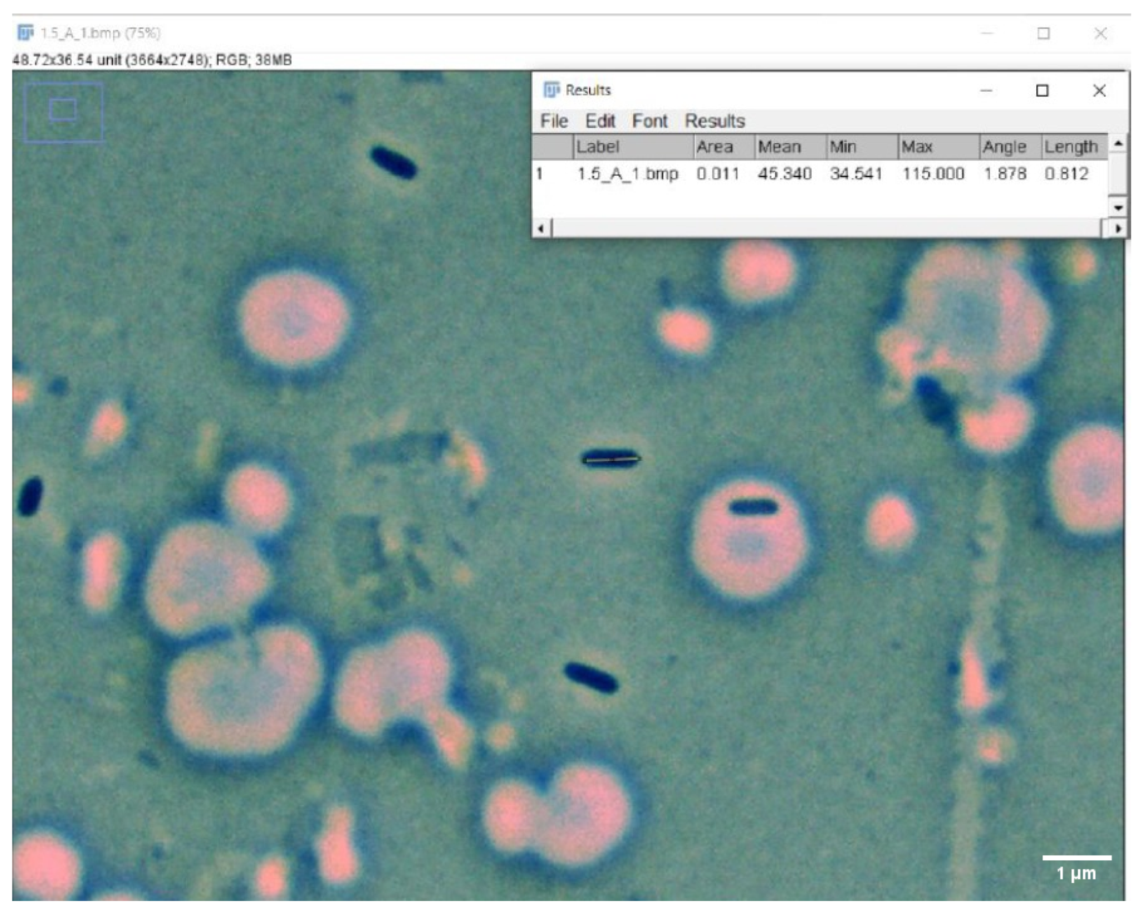 Microorganisms 12 00393 g003