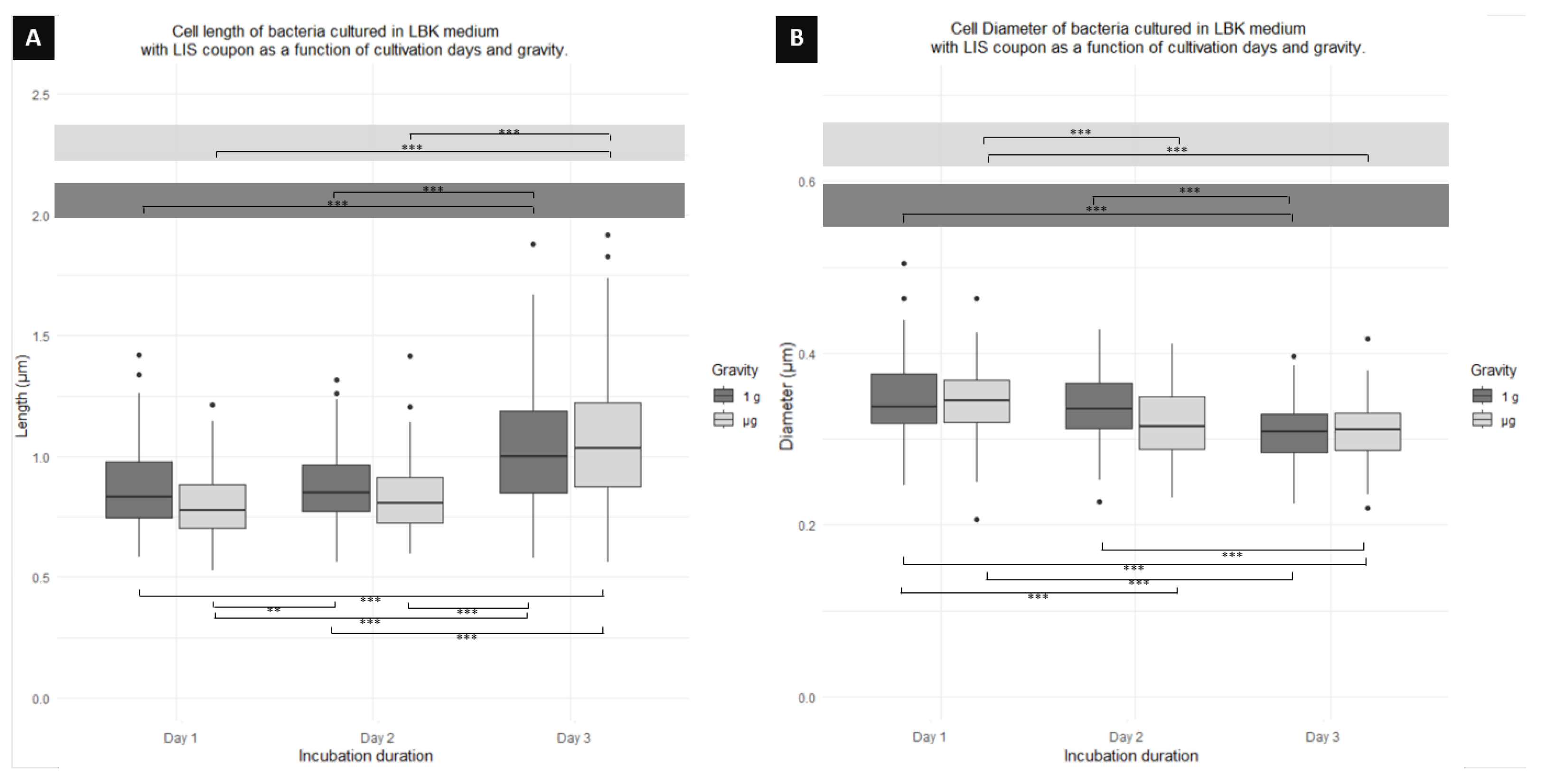 Microorganisms 12 00393 g004