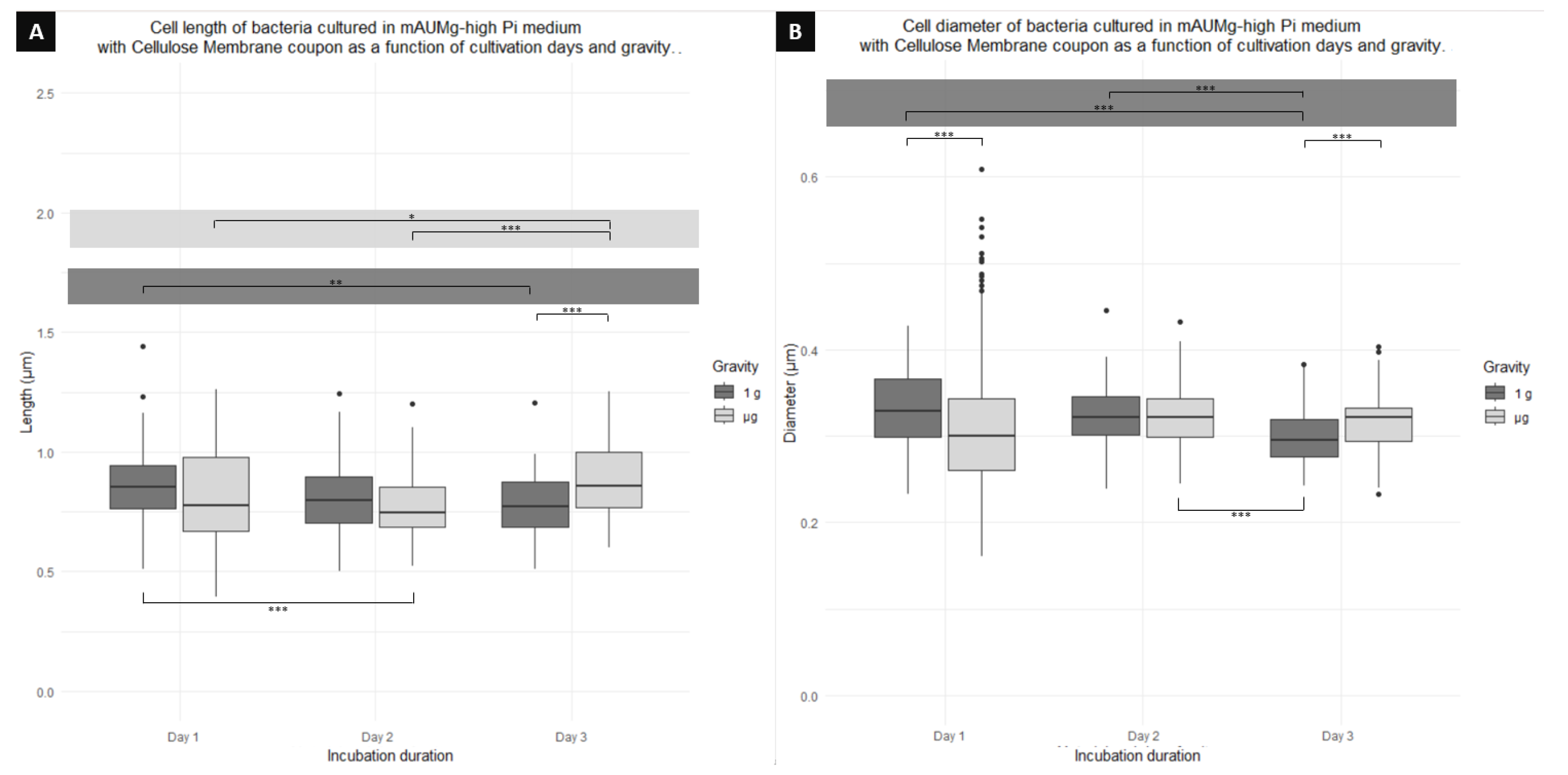 Microorganisms 12 00393 g008