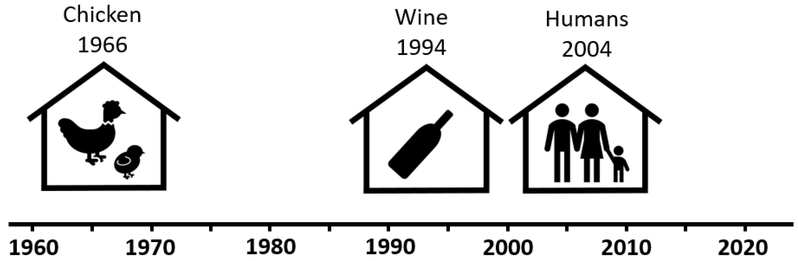 Microorganisms 12 00395 g001