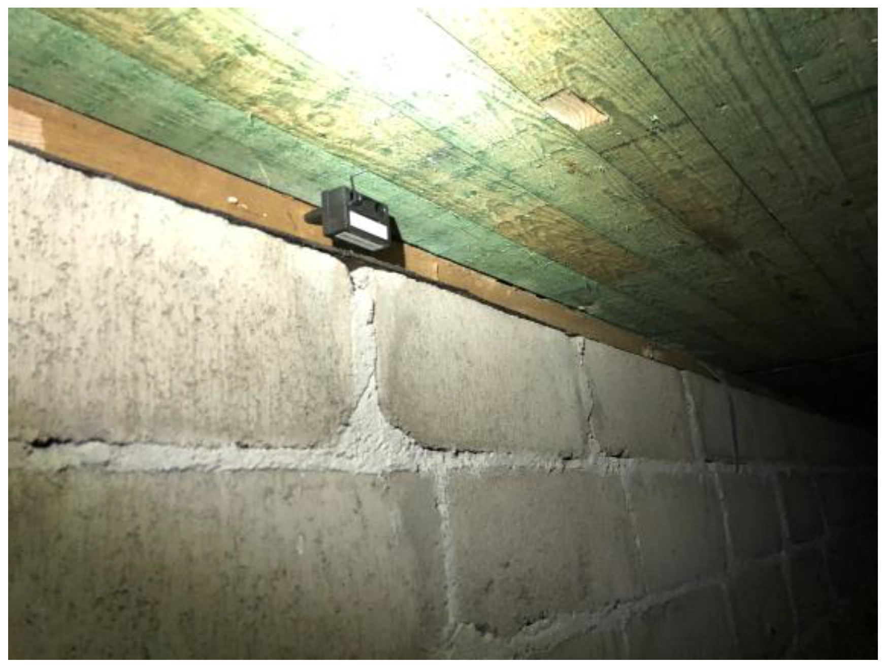 Microorganisms 12 00395 g002