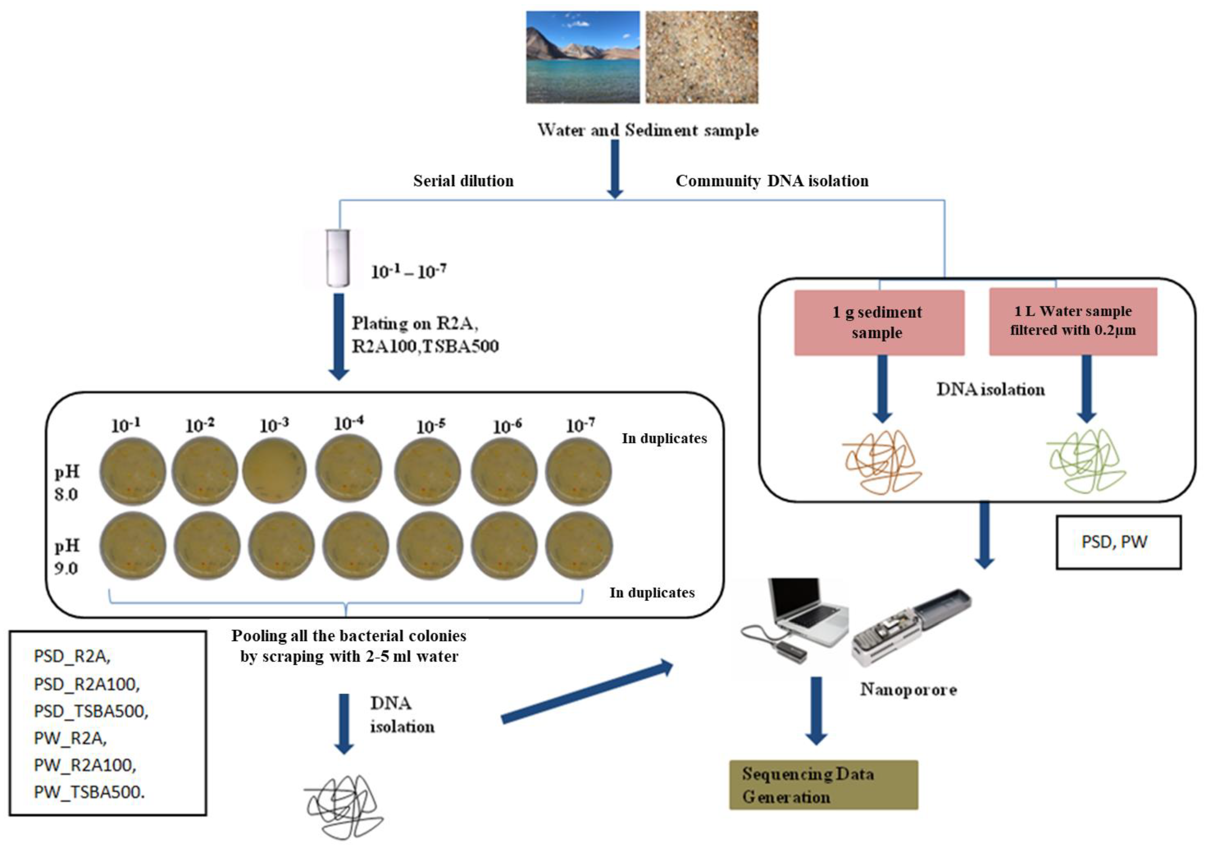 Microorganisms 12 00397 g001 Microorganisms 12 00397 g001