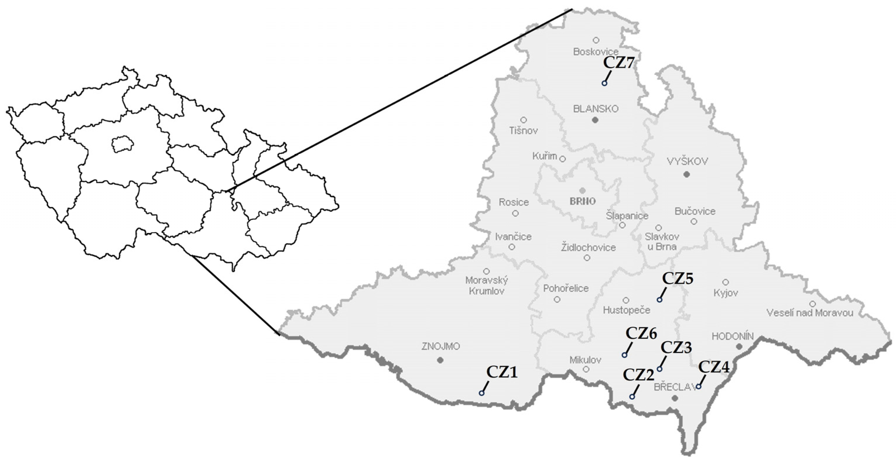 Microorganisms 12 00399 g001