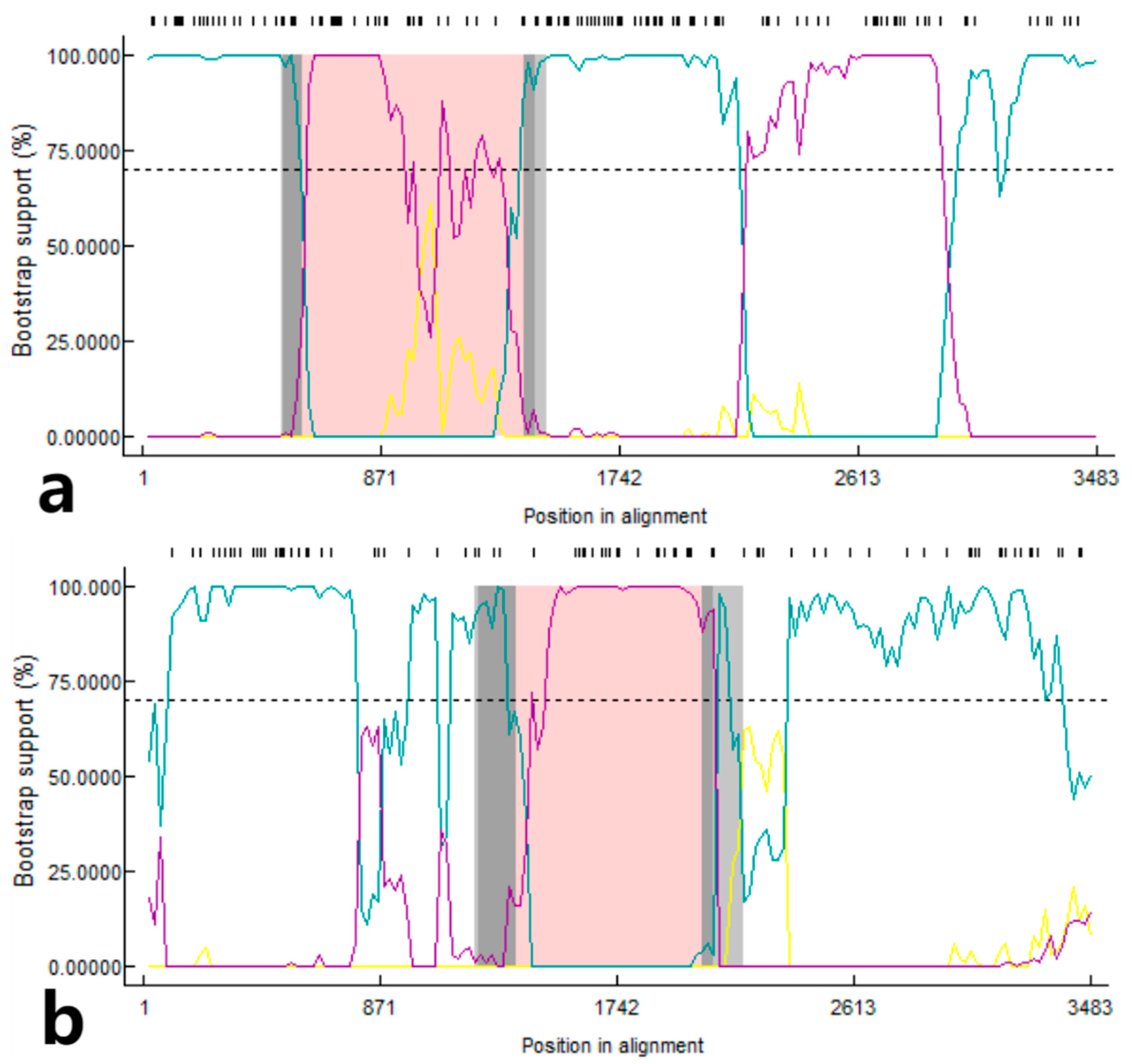 Microorganisms 12 00416 g006