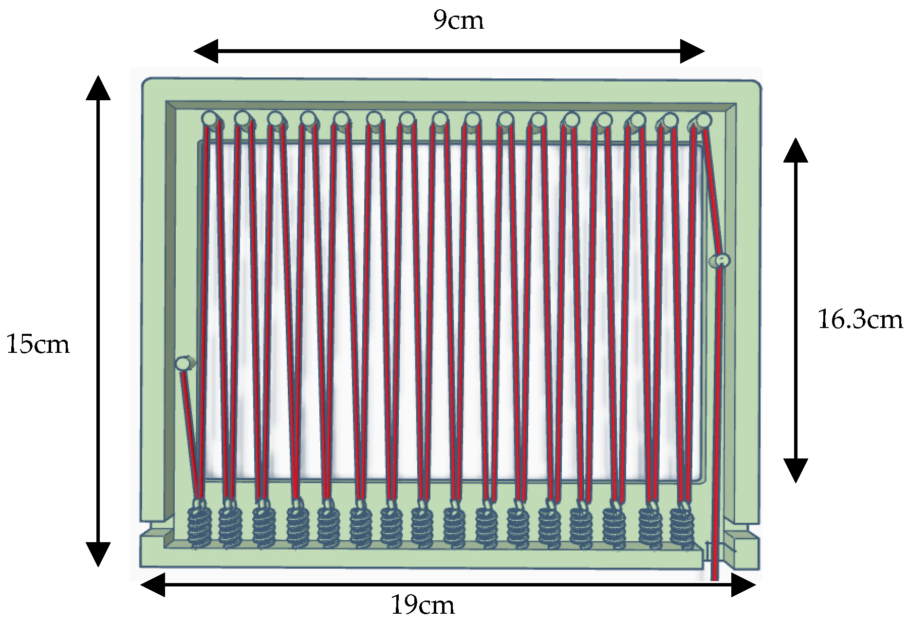 Microorganisms 12 00418 g001 Microorganisms 12 00418 g001
