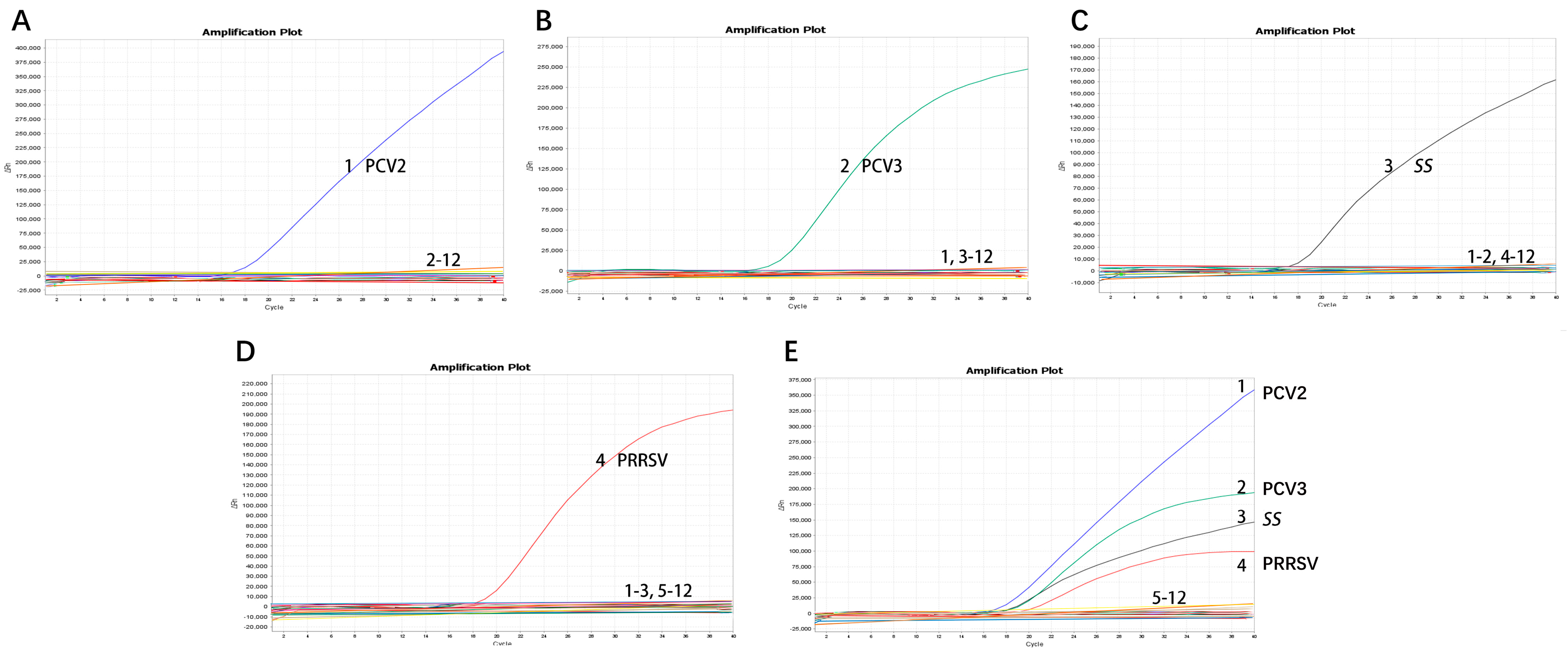 Microorganisms 12 00427 g004