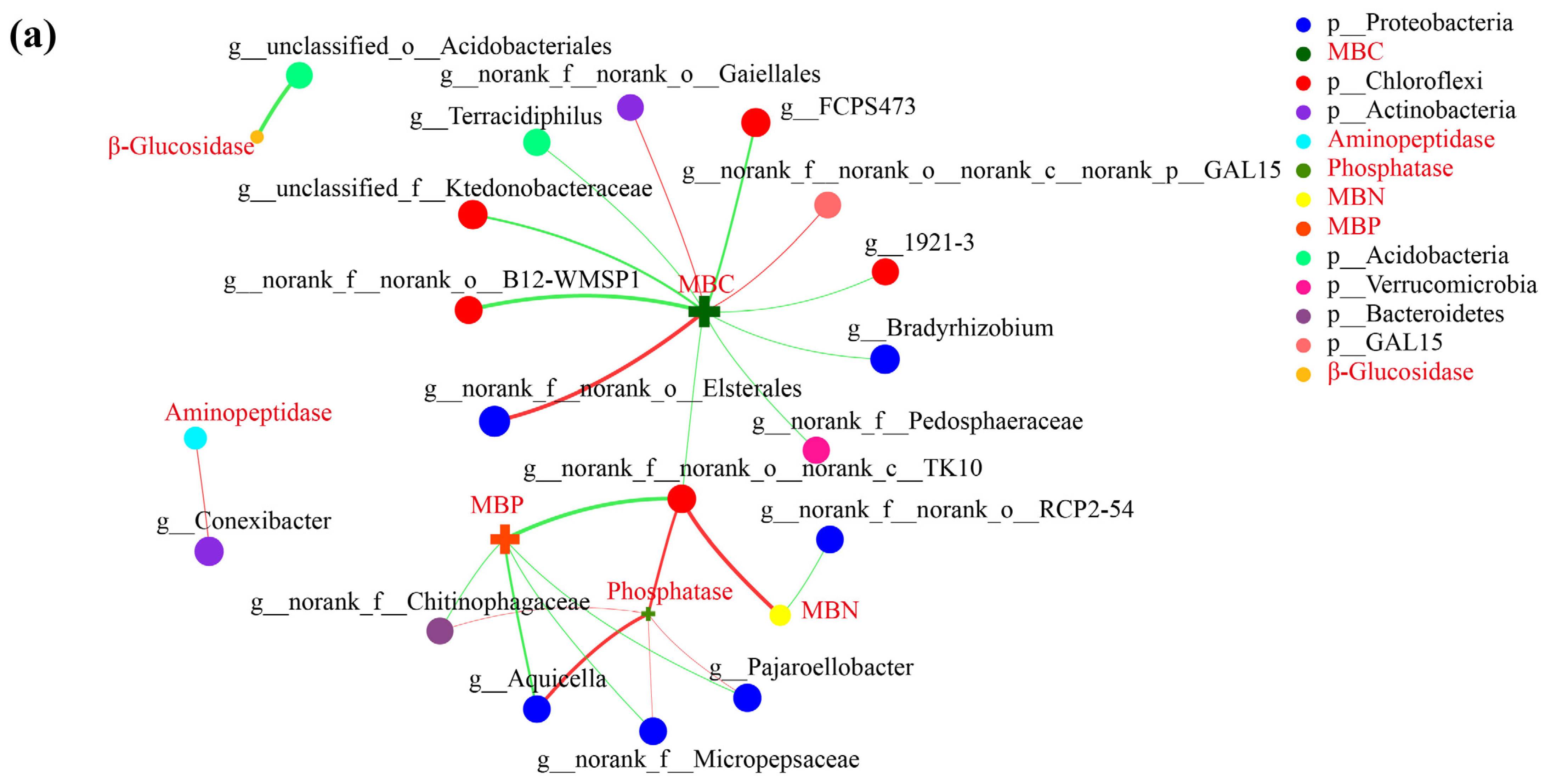 Microorganisms 12 00431 g006a