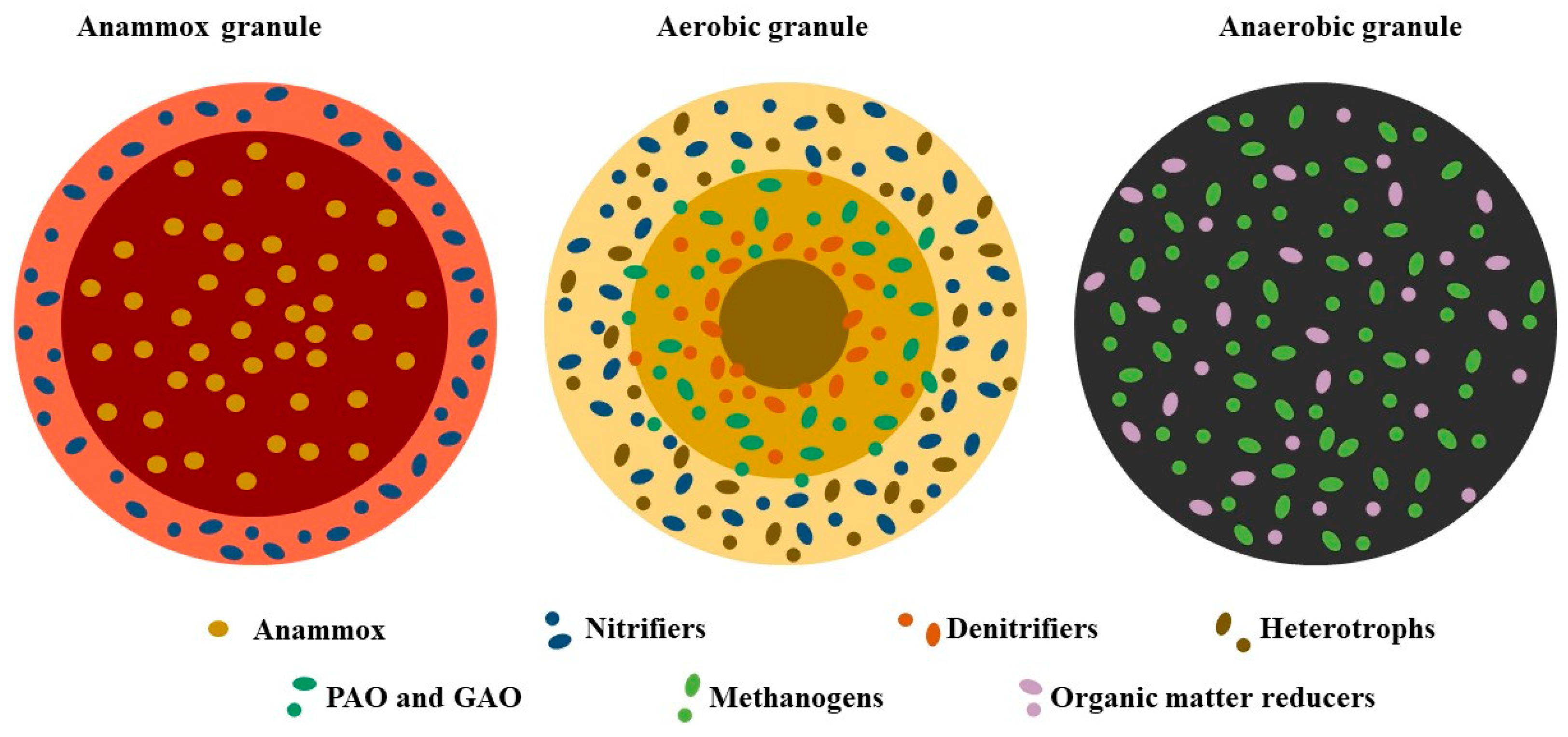 Microorganisms 12 00433 g001