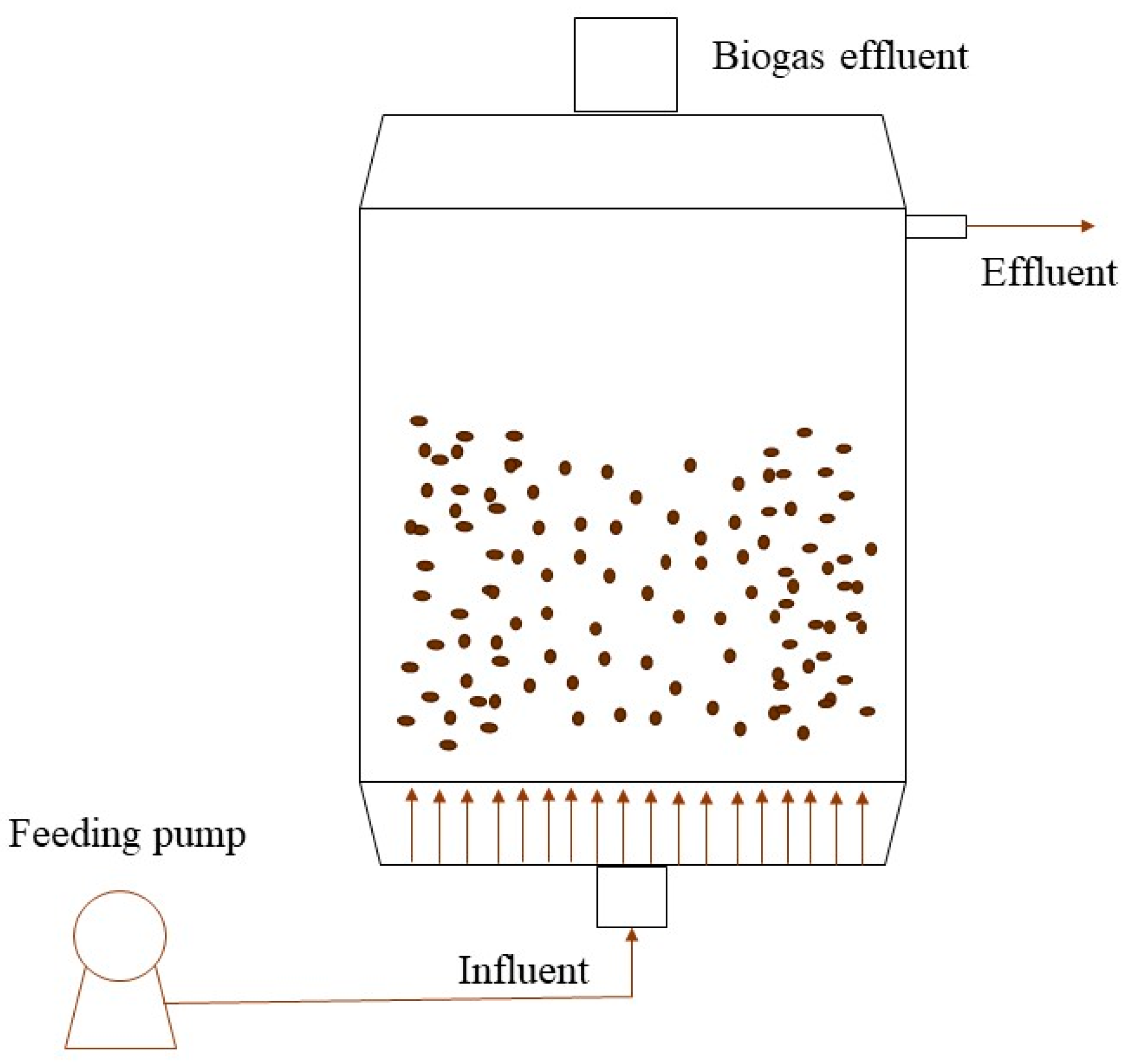 Microorganisms 12 00433 g003