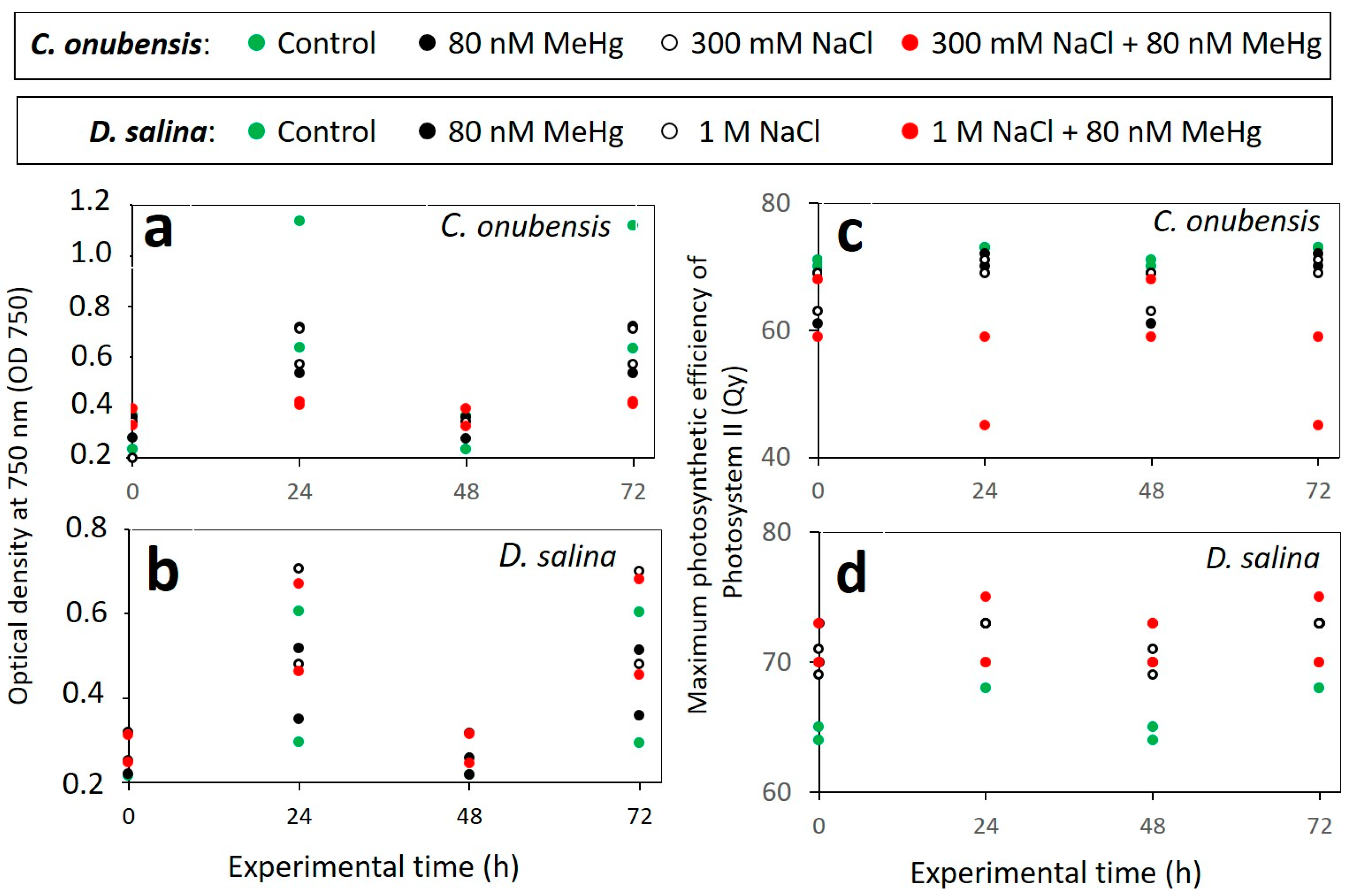 Microorganisms 12 00434 g002 Microorganisms 12 00434 g002