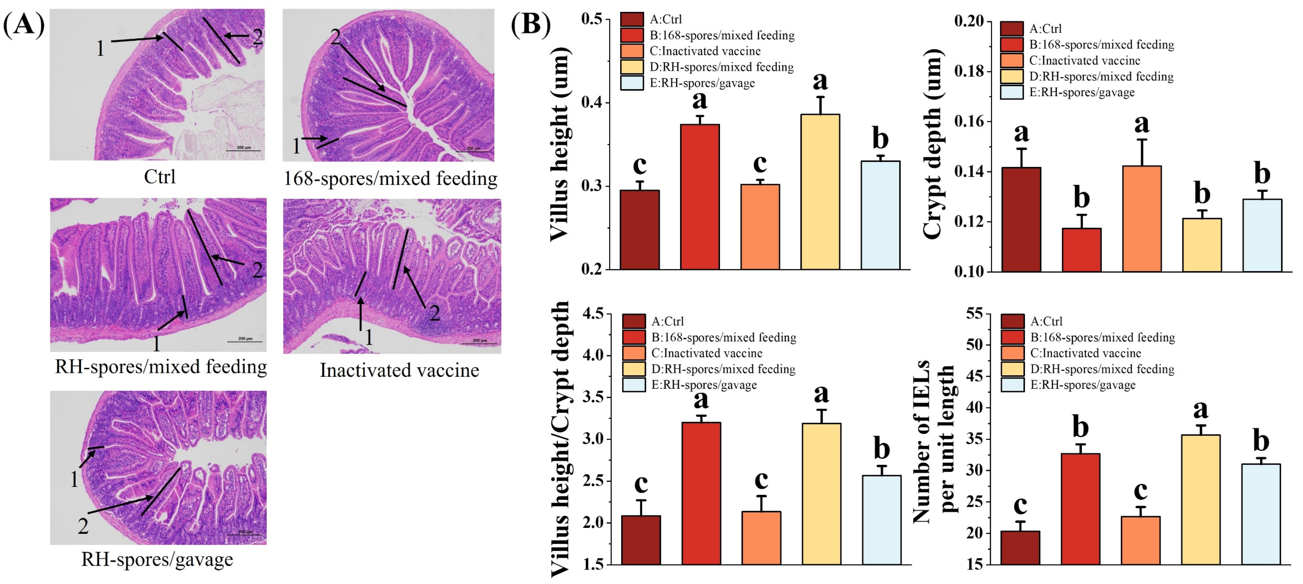 Microorganisms 12 00439 g008 Microorganisms 12 00439 g008