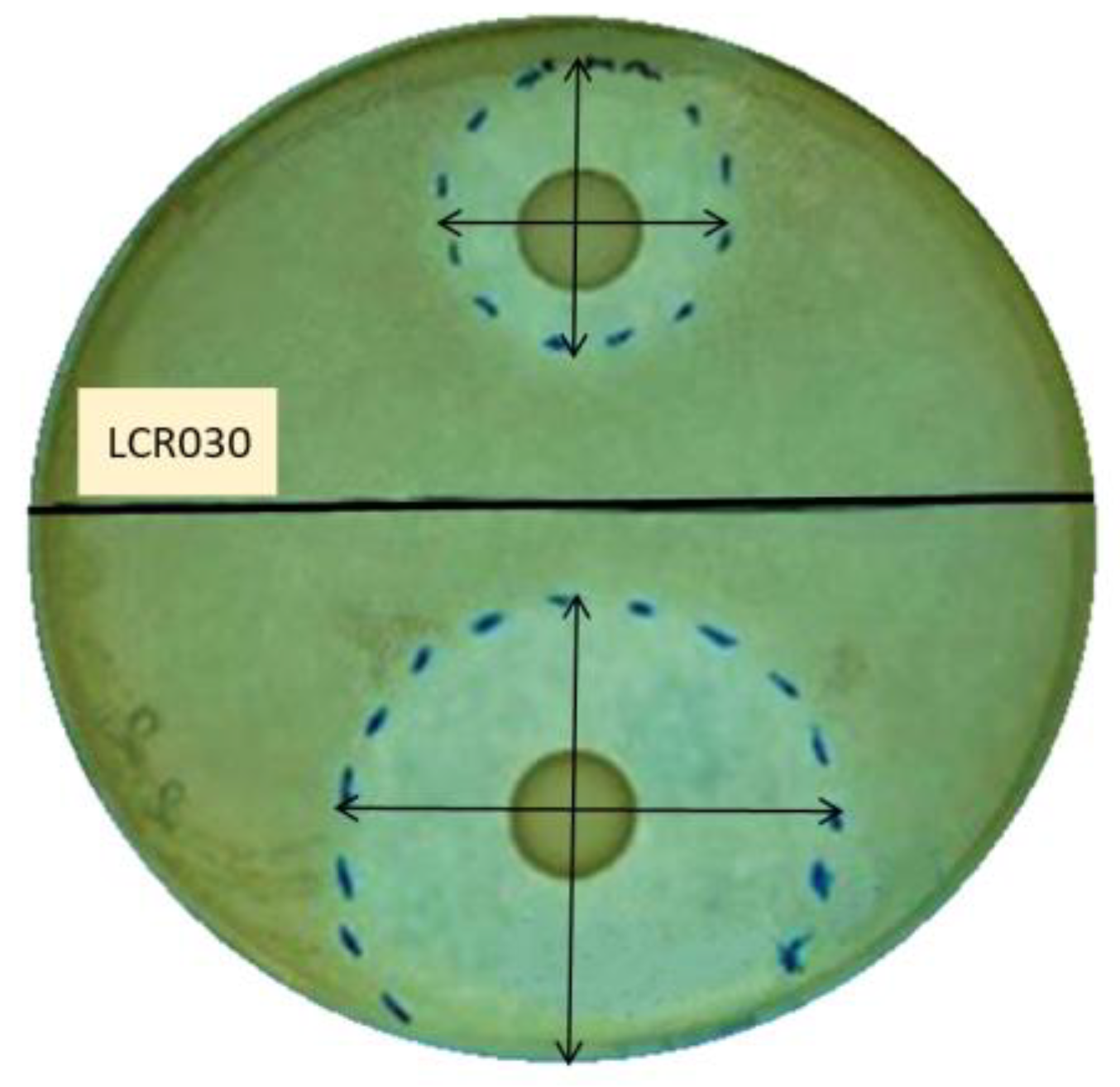 Microorganisms 12 00441 g001 Microorganisms 12 00441 g001