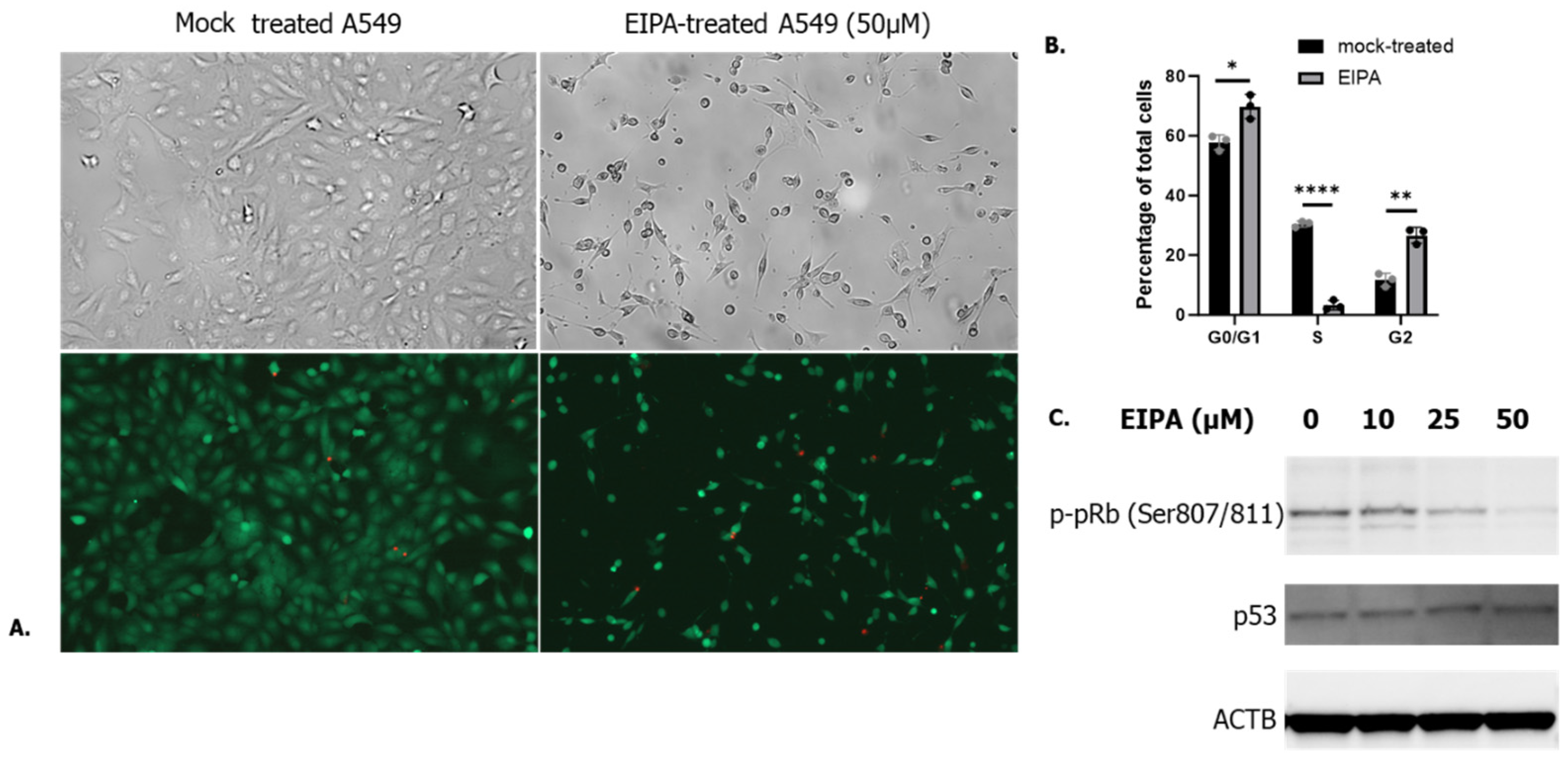 Microorganisms 12 00443 g002