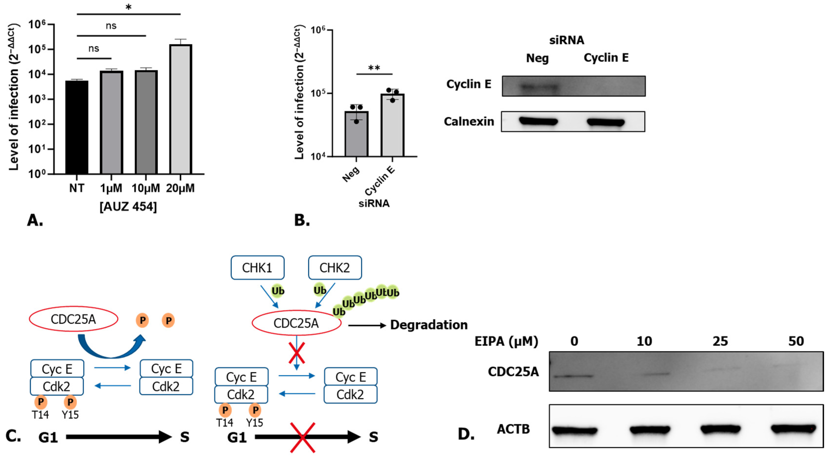 Microorganisms 12 00443 g006
