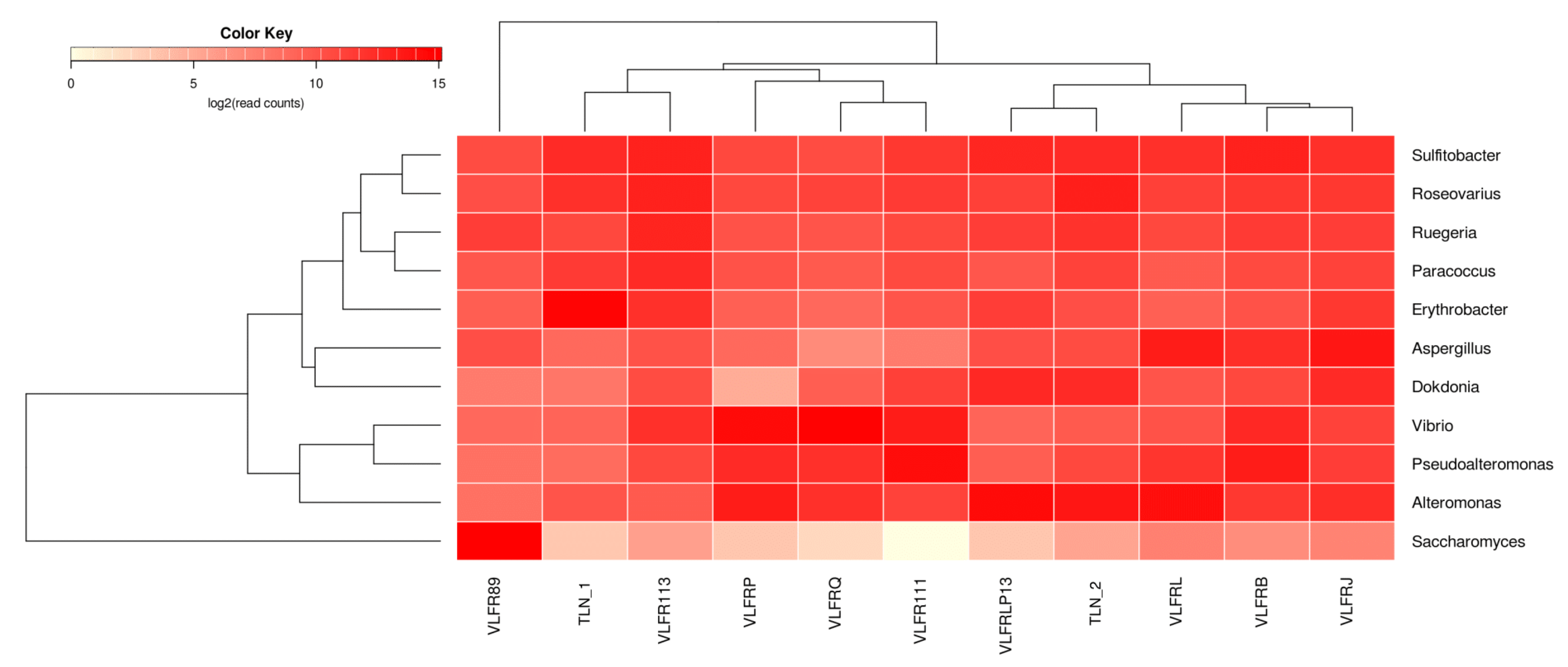 Microorganisms 12 00444 g003 Microorganisms 12 00444 g003