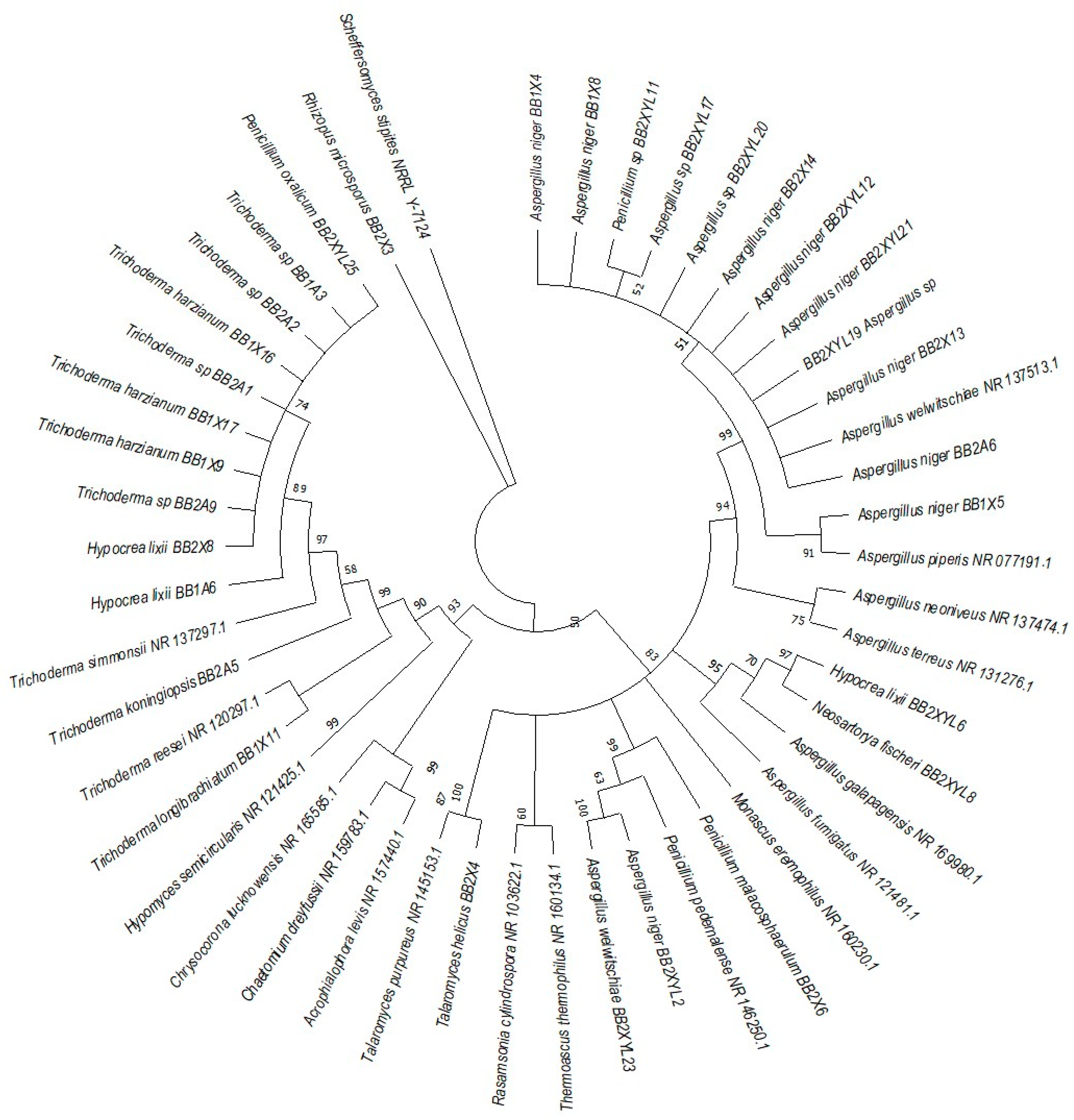 Microorganisms 12 00445 g008