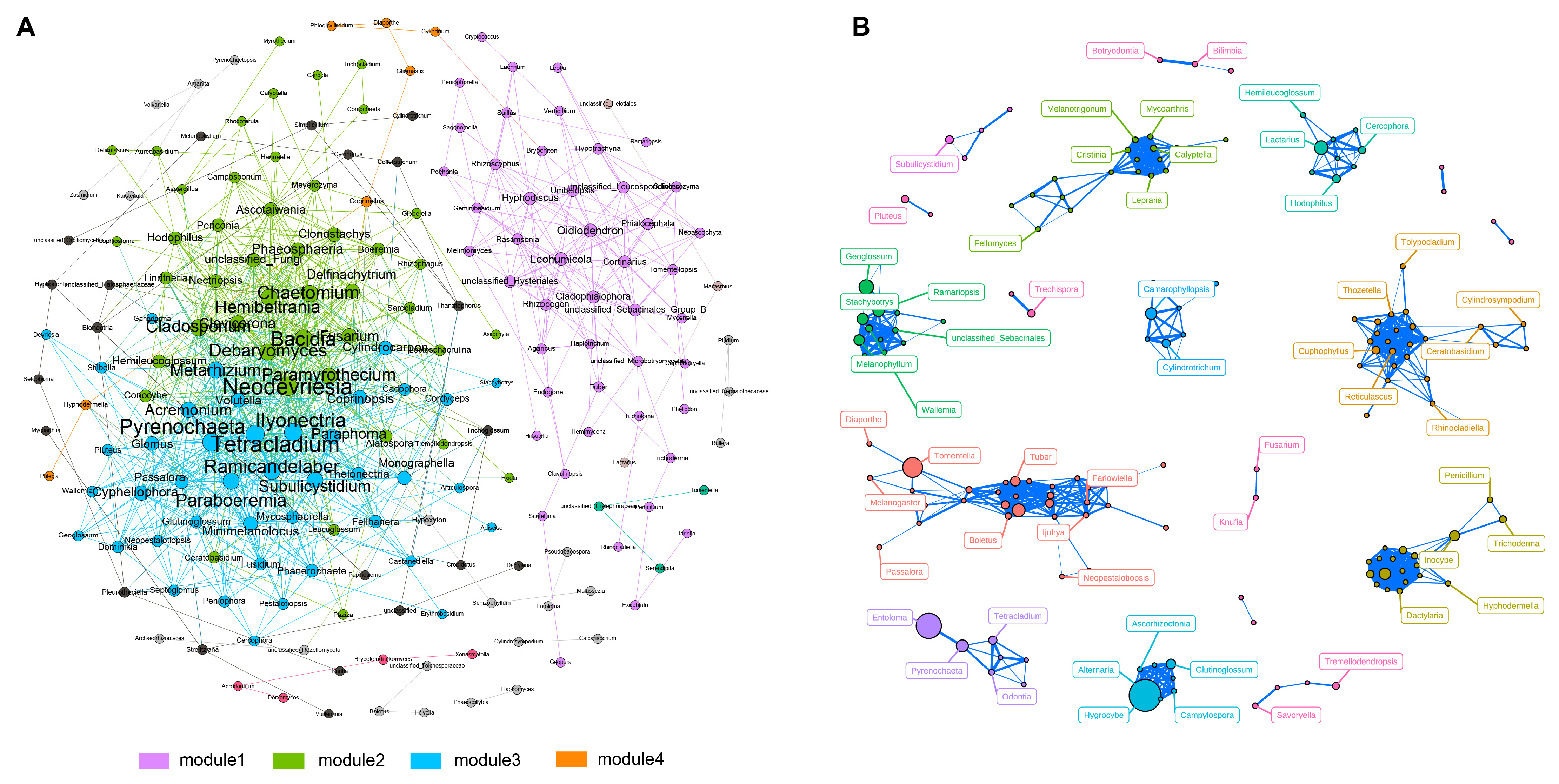 Microorganisms 12 00446 g005