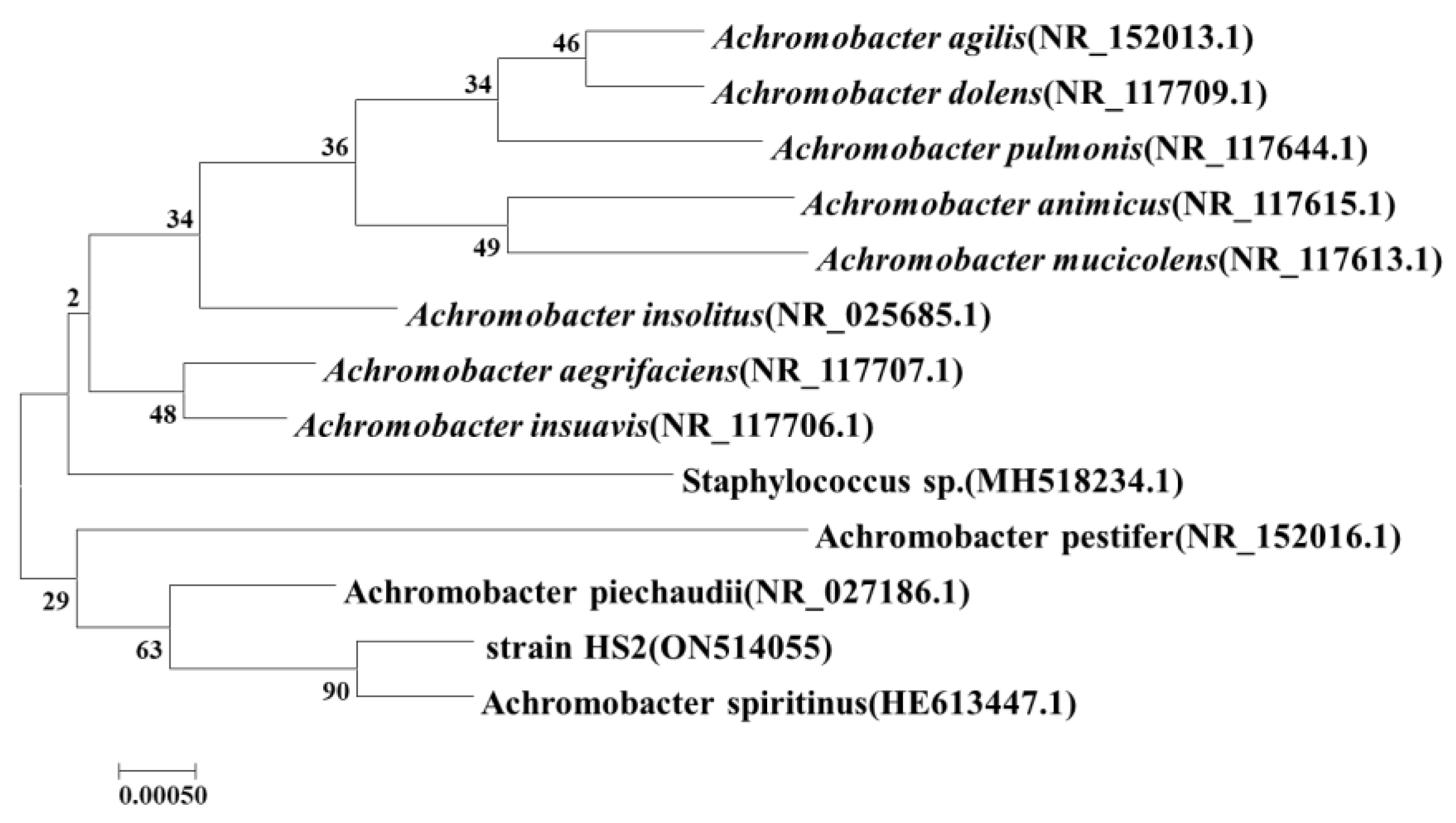 Microorganisms 12 00451 g002