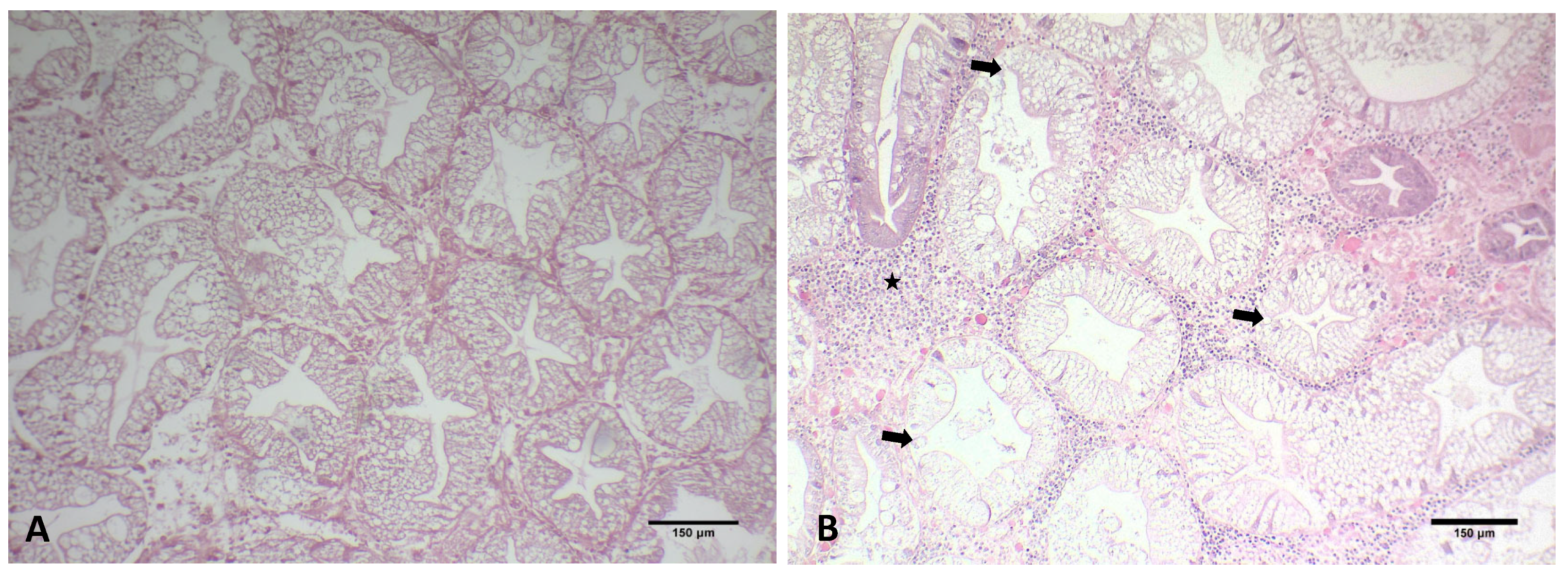 Microorganisms 12 00456 g005