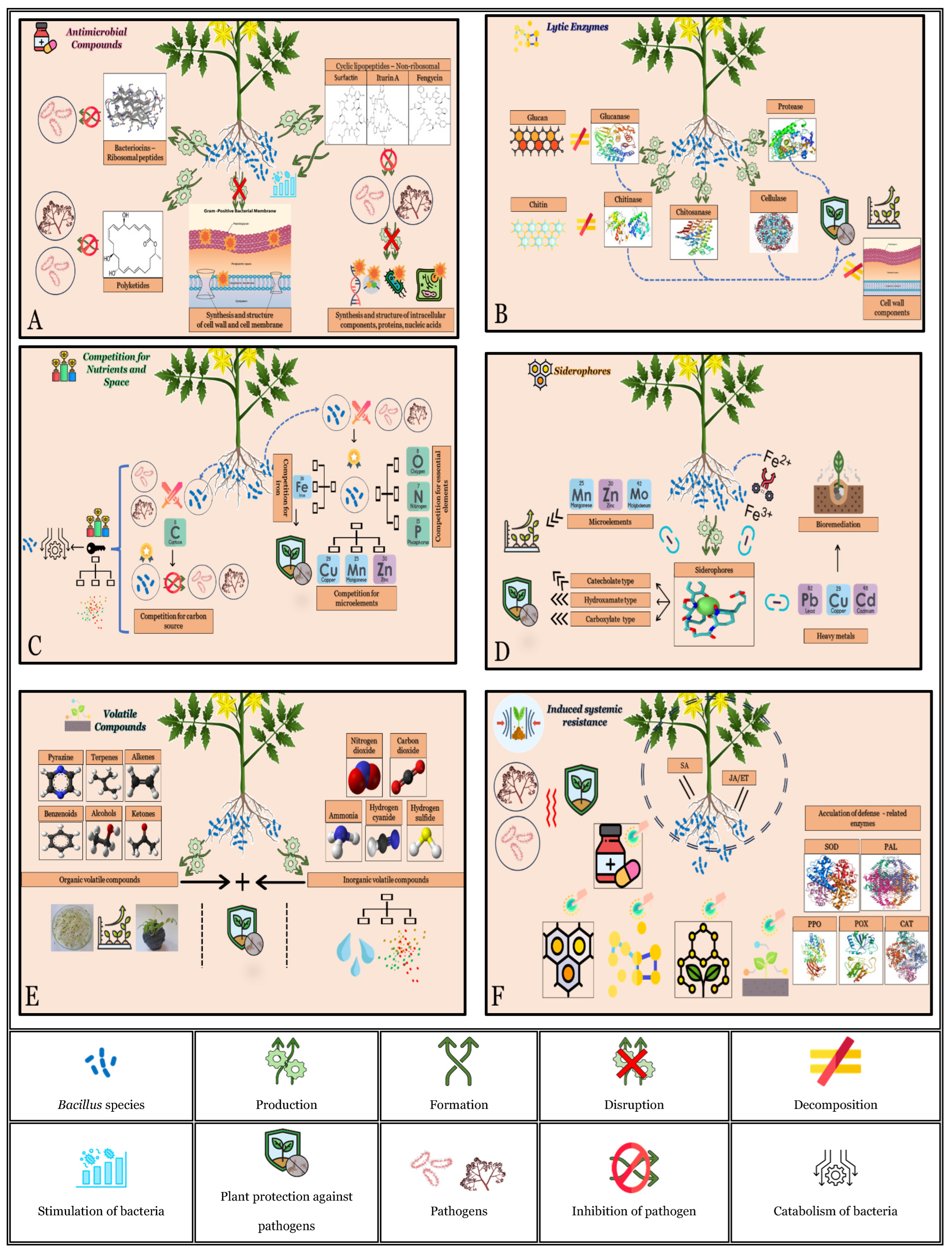 Microorganisms 12 00457 g008a
