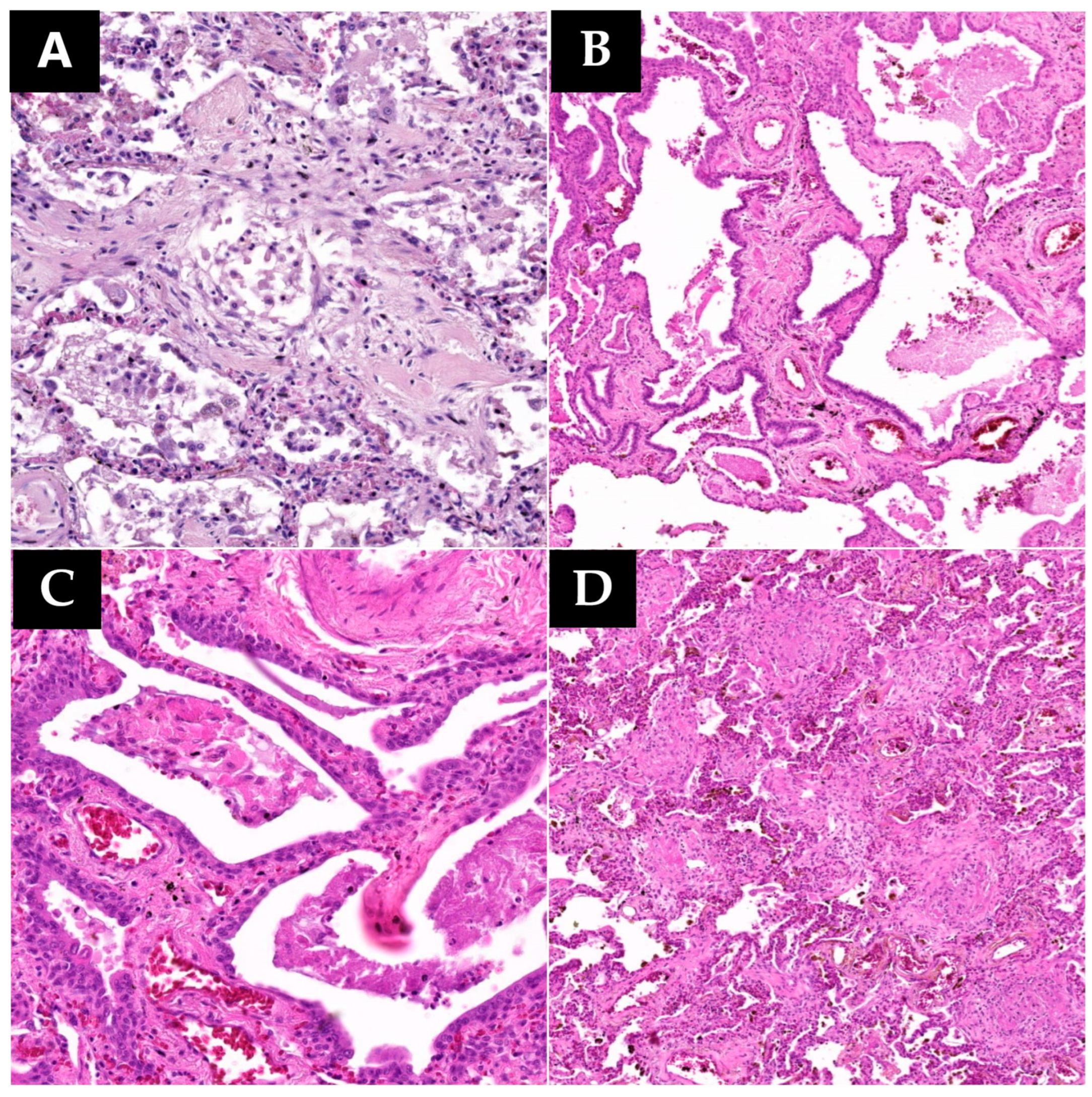 Microorganisms 12 00459 g003a