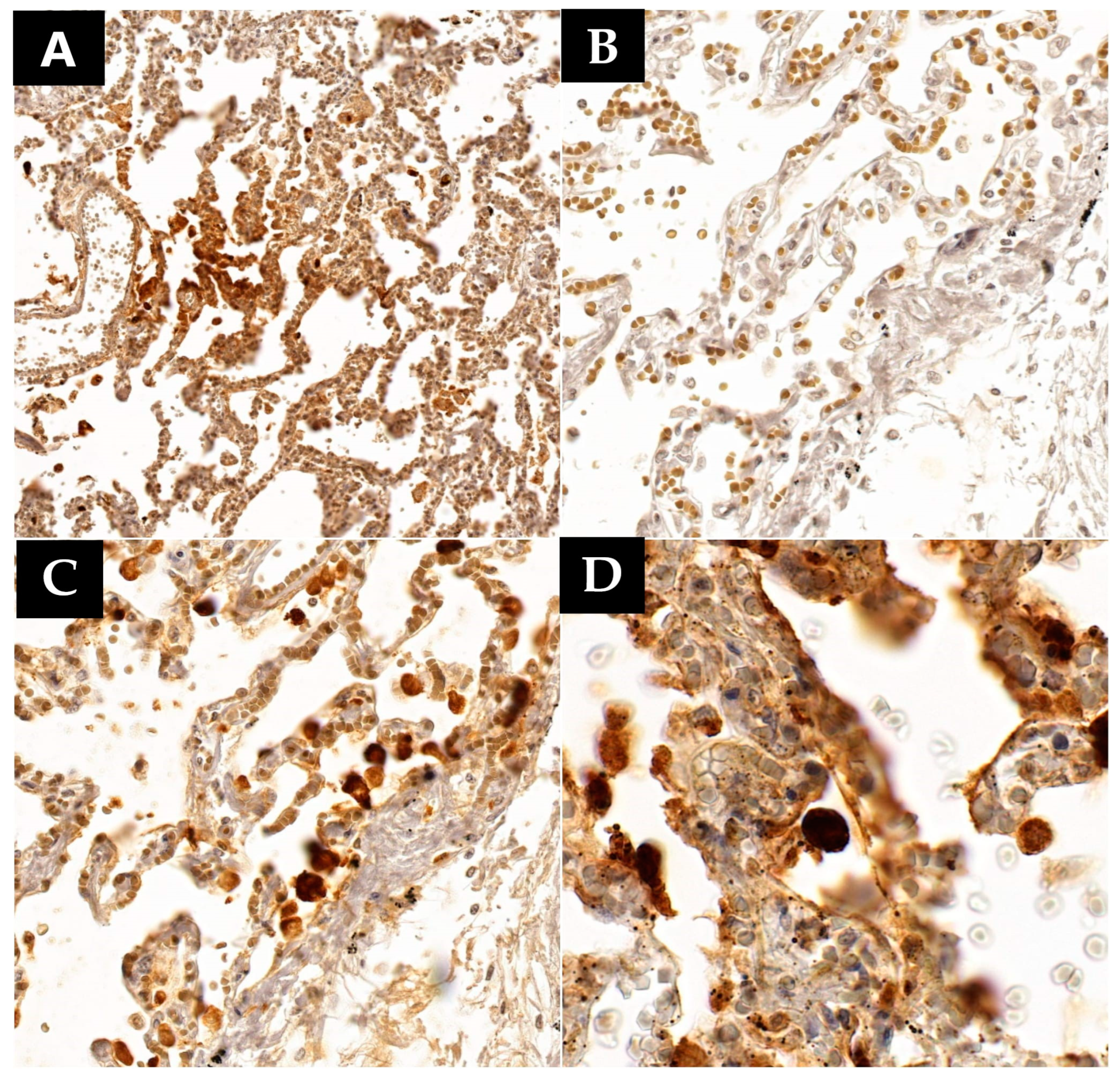 Microorganisms 12 00459 g004
