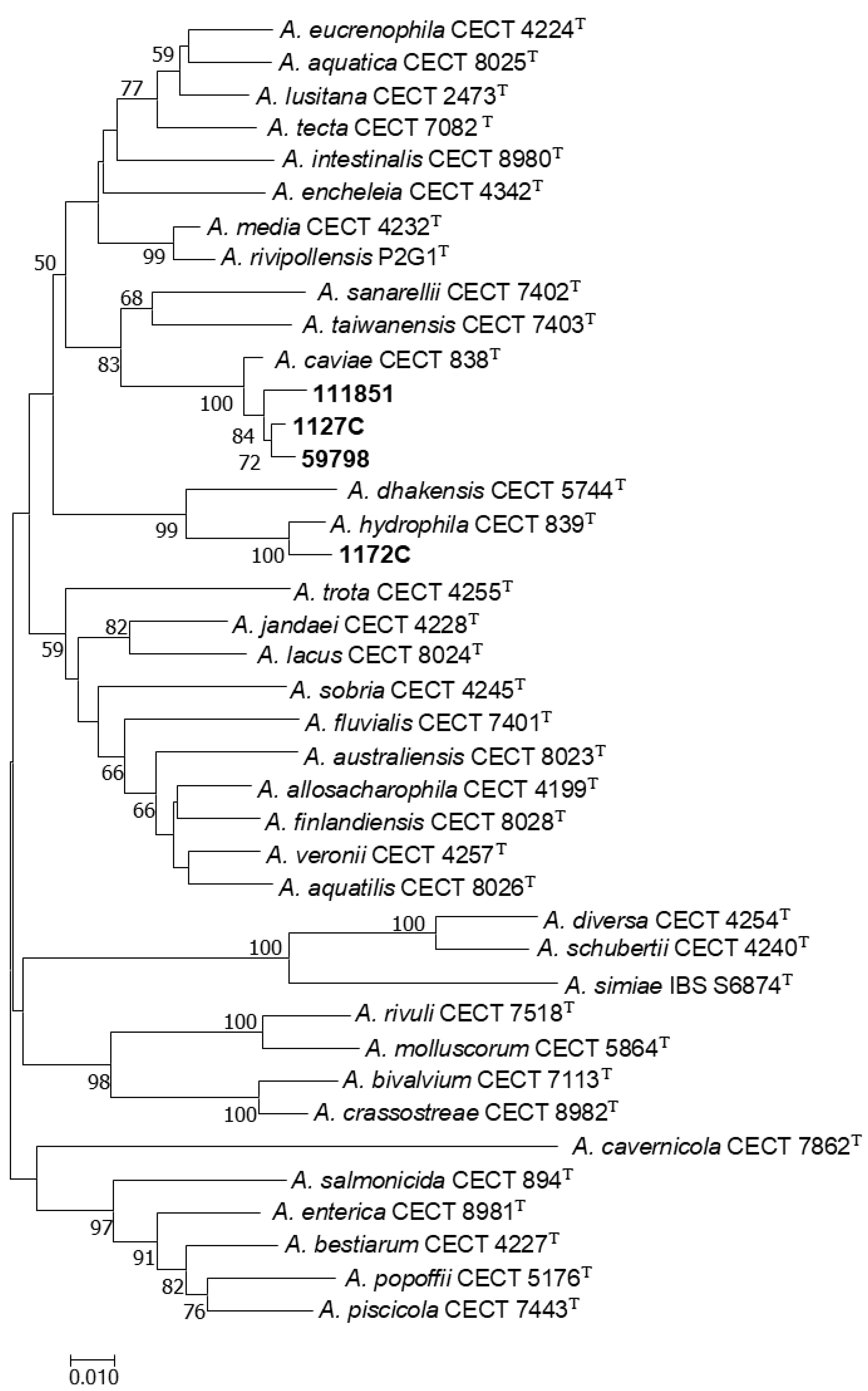 Microorganisms 12 00465 g001